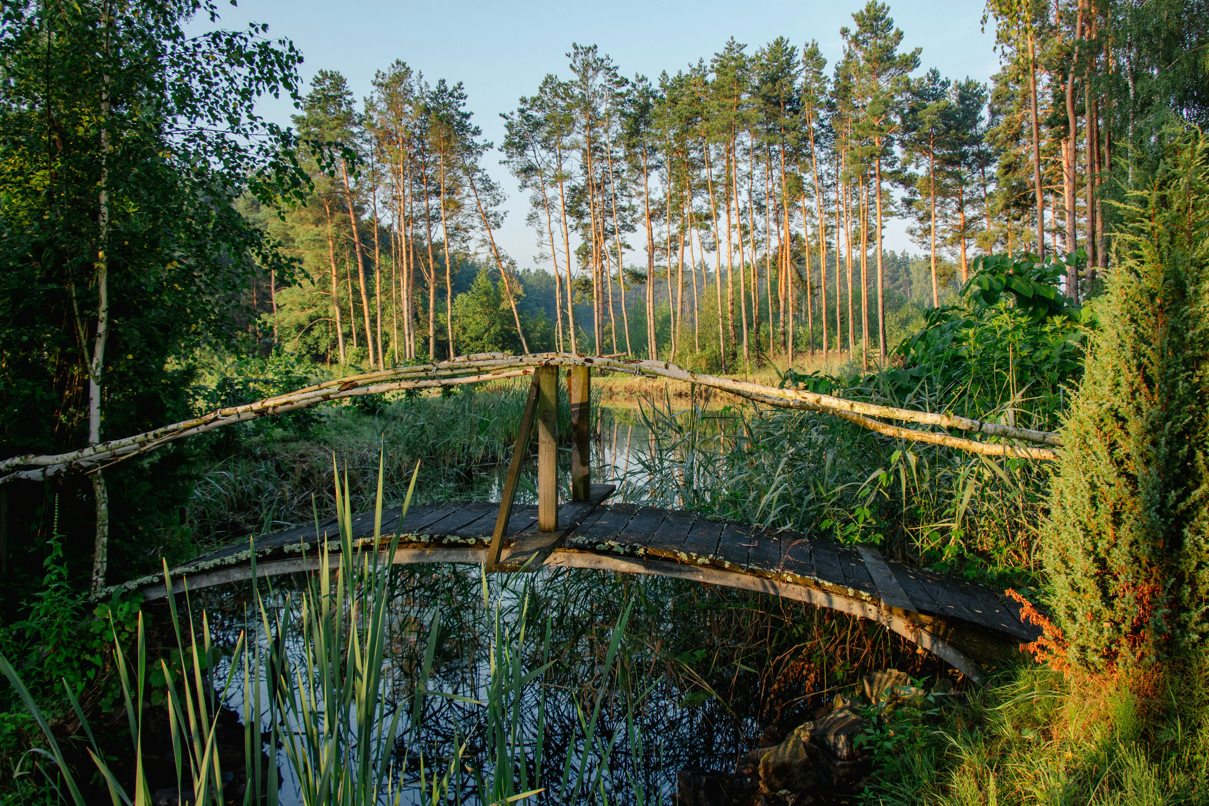 A wooden bridge crosses a peaceful pond in the woods.