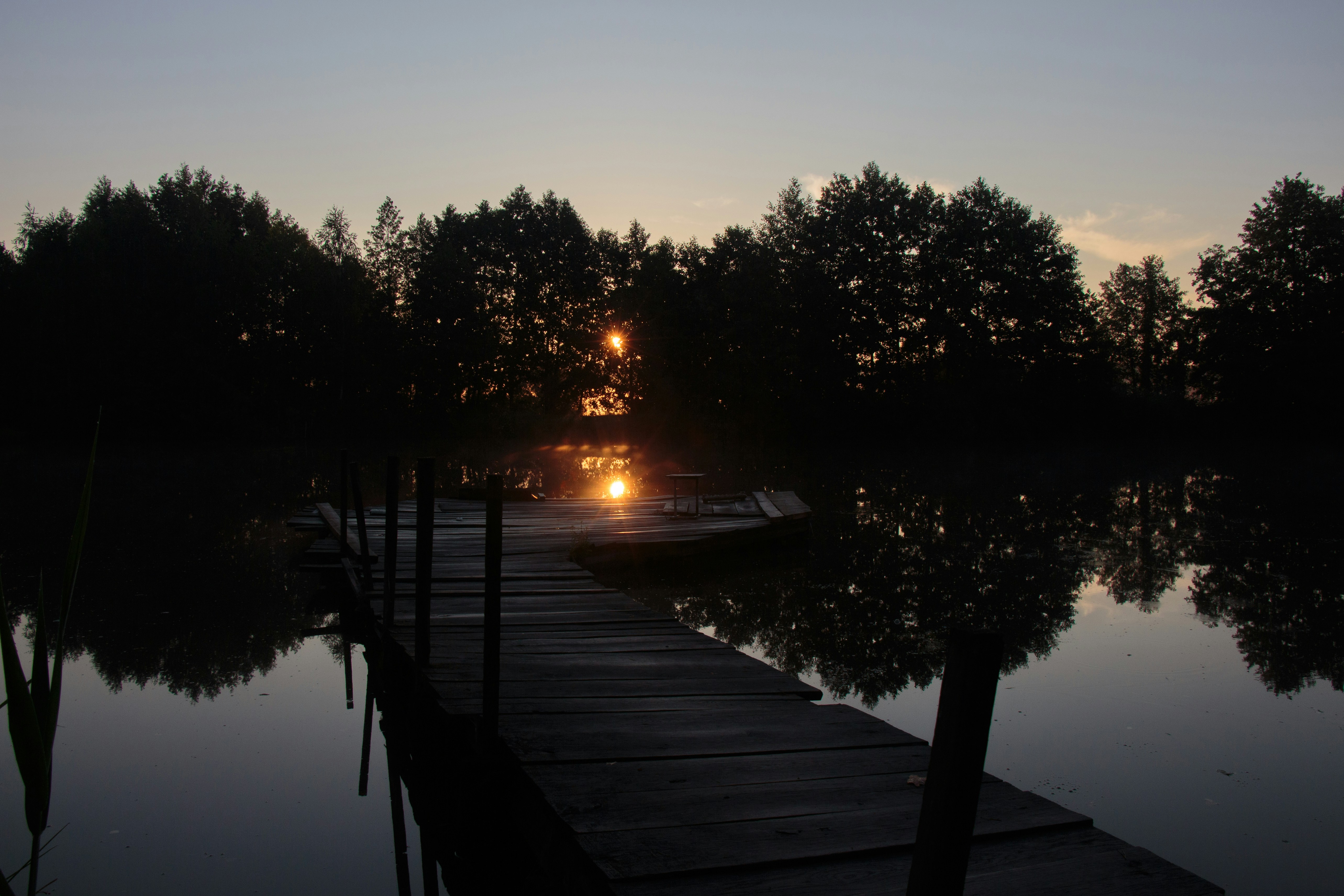 Photo by viktorsmoliak