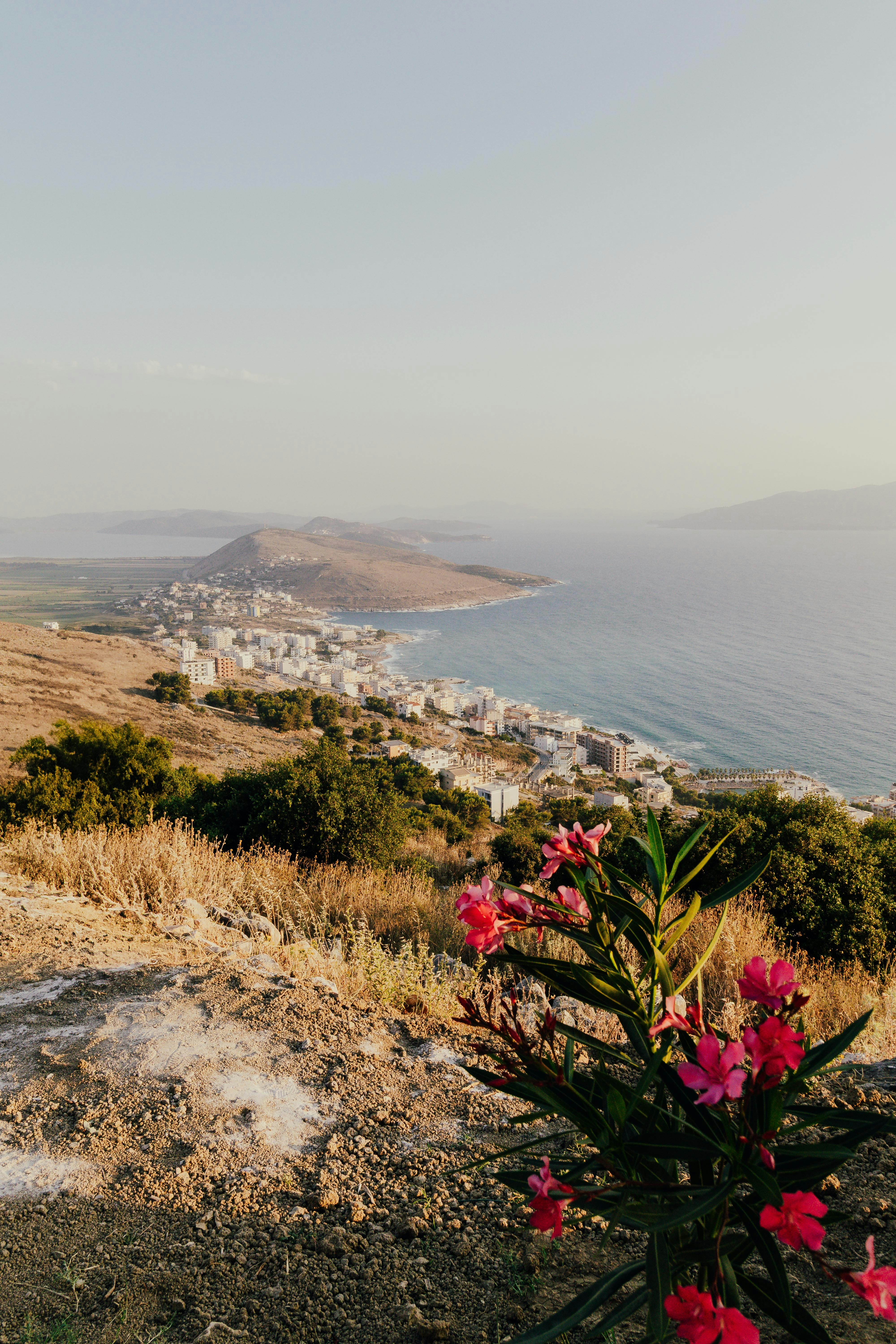 Photo by arlindphotography