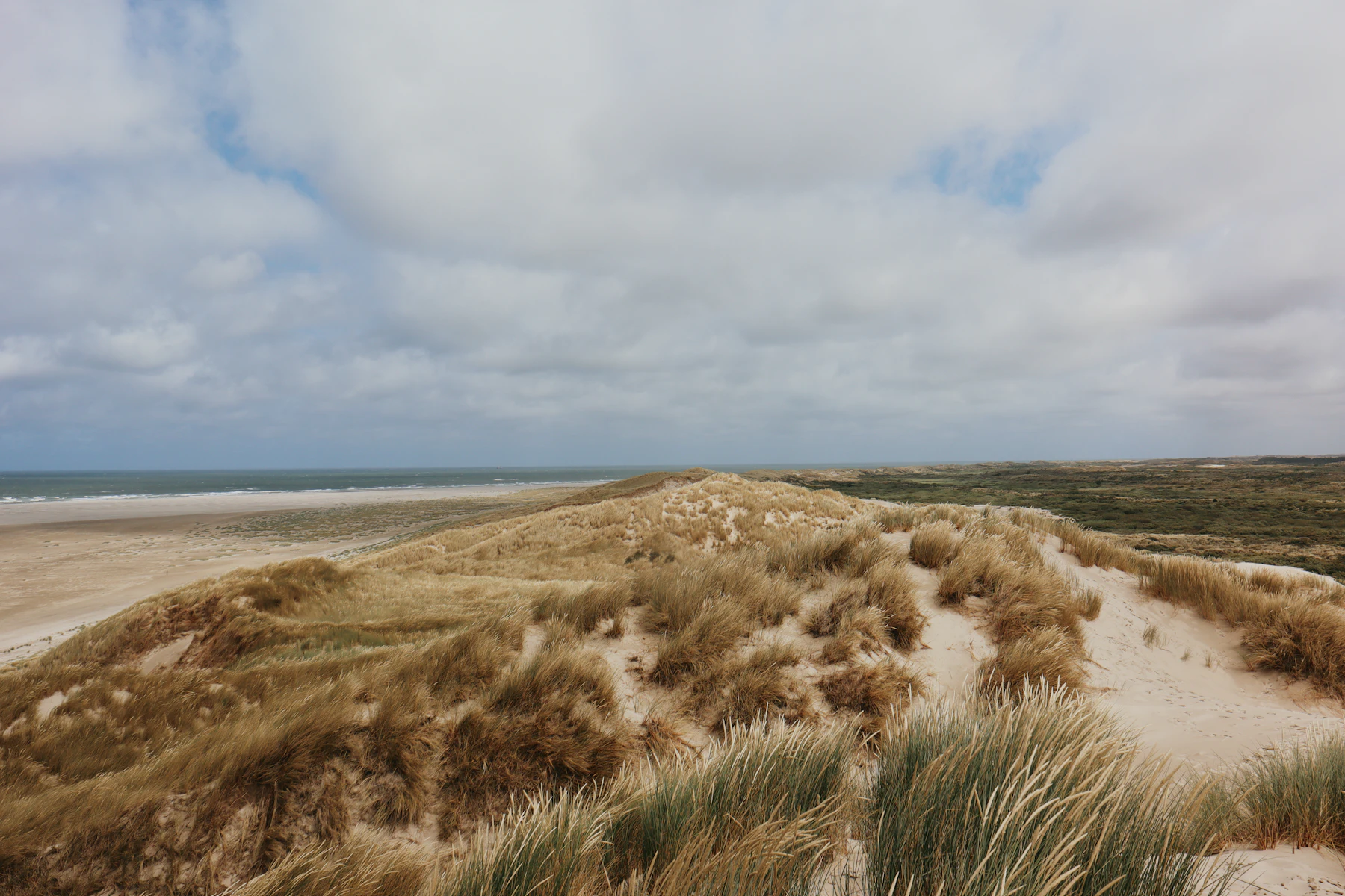 Dunes couvertes d'oyats et plage sous un ciel nuageux