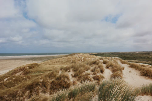 Dunes couvertes d'oyats et plage sous un ciel nuageux