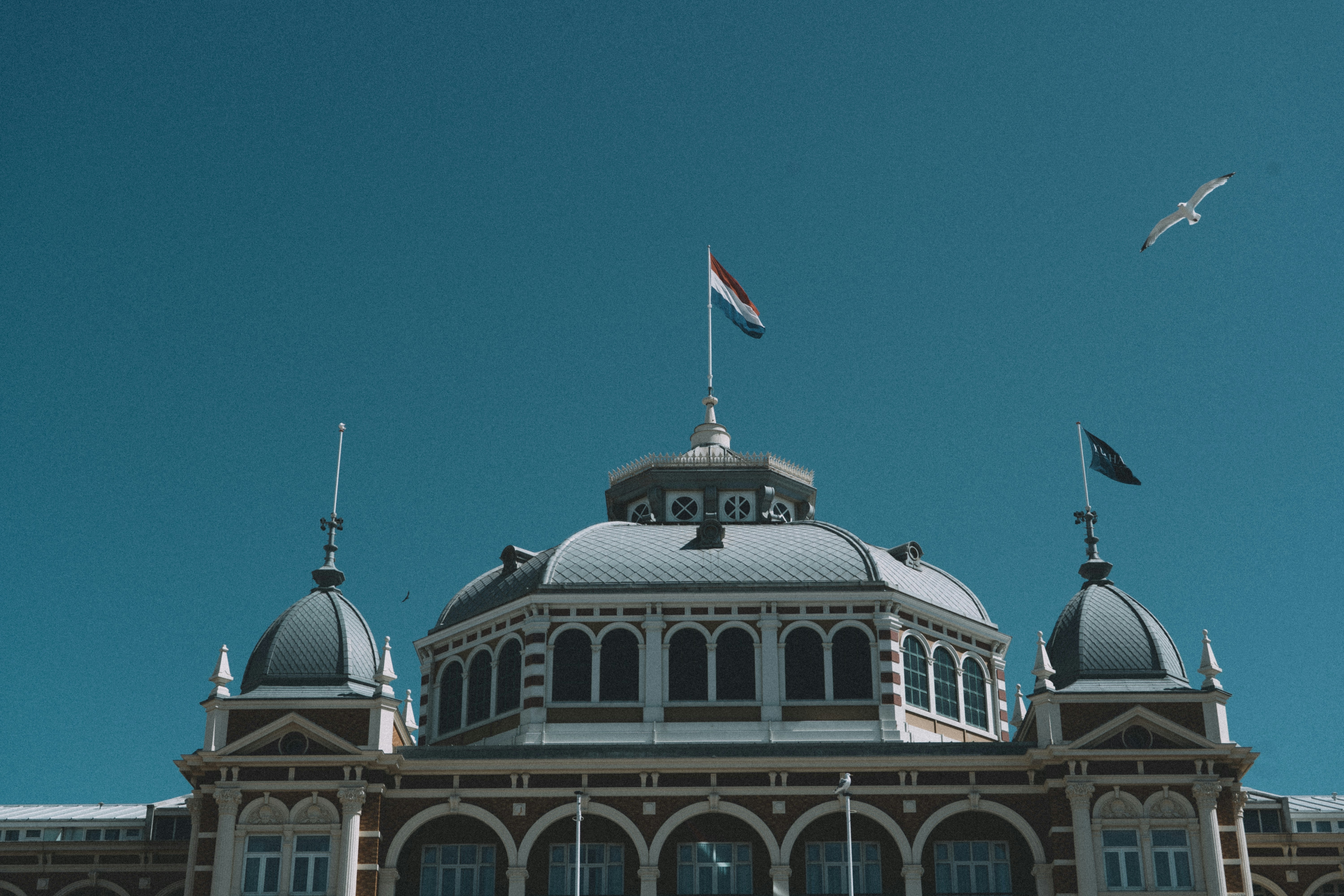 Hollanda vergi sistemi ve gelir vergisi beyannamesi sürecini temsil eden mali belgeler, hesap makinesi ve Hollanda bayrağı görseli.