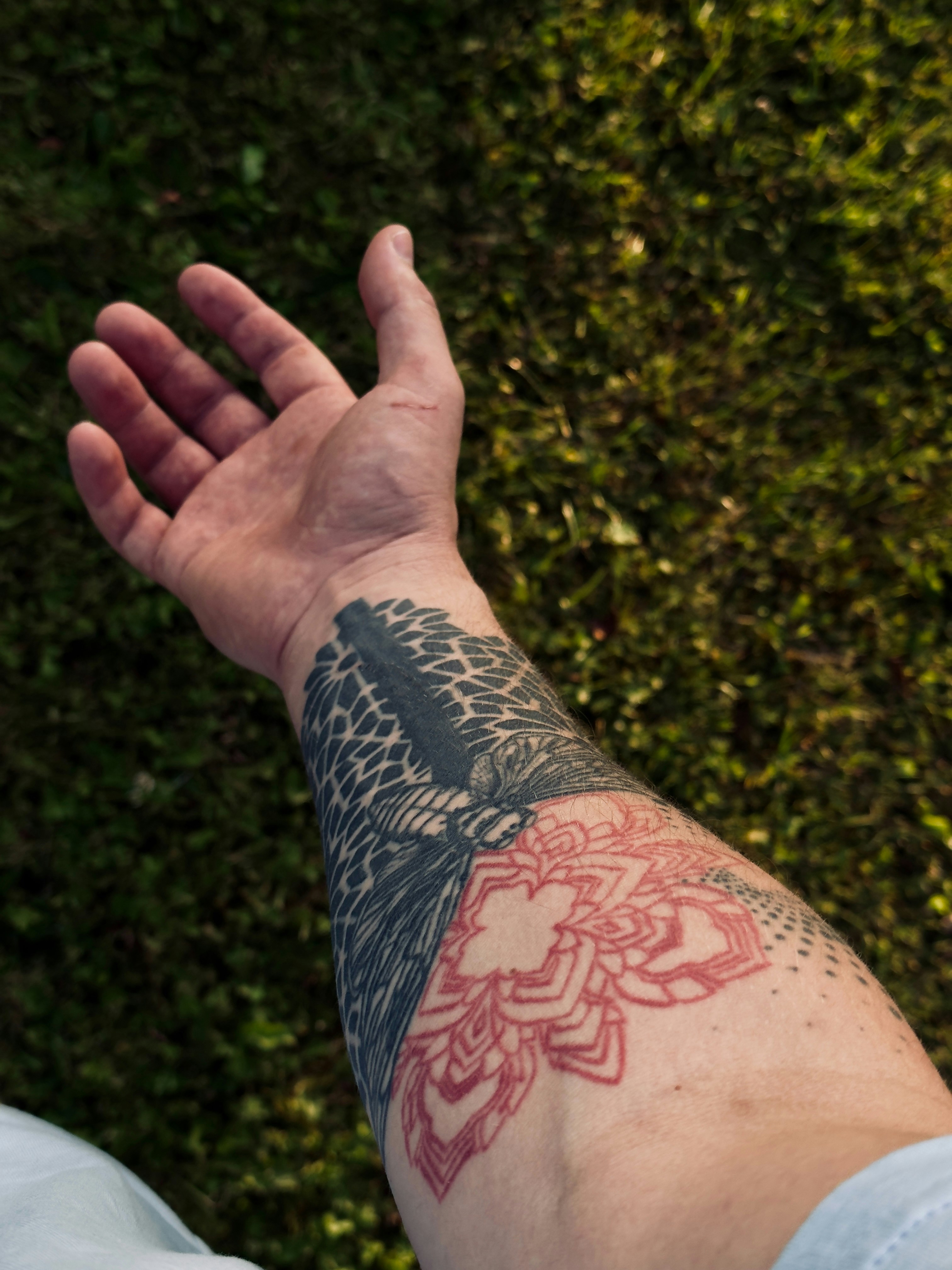 Photo by raymatthewx