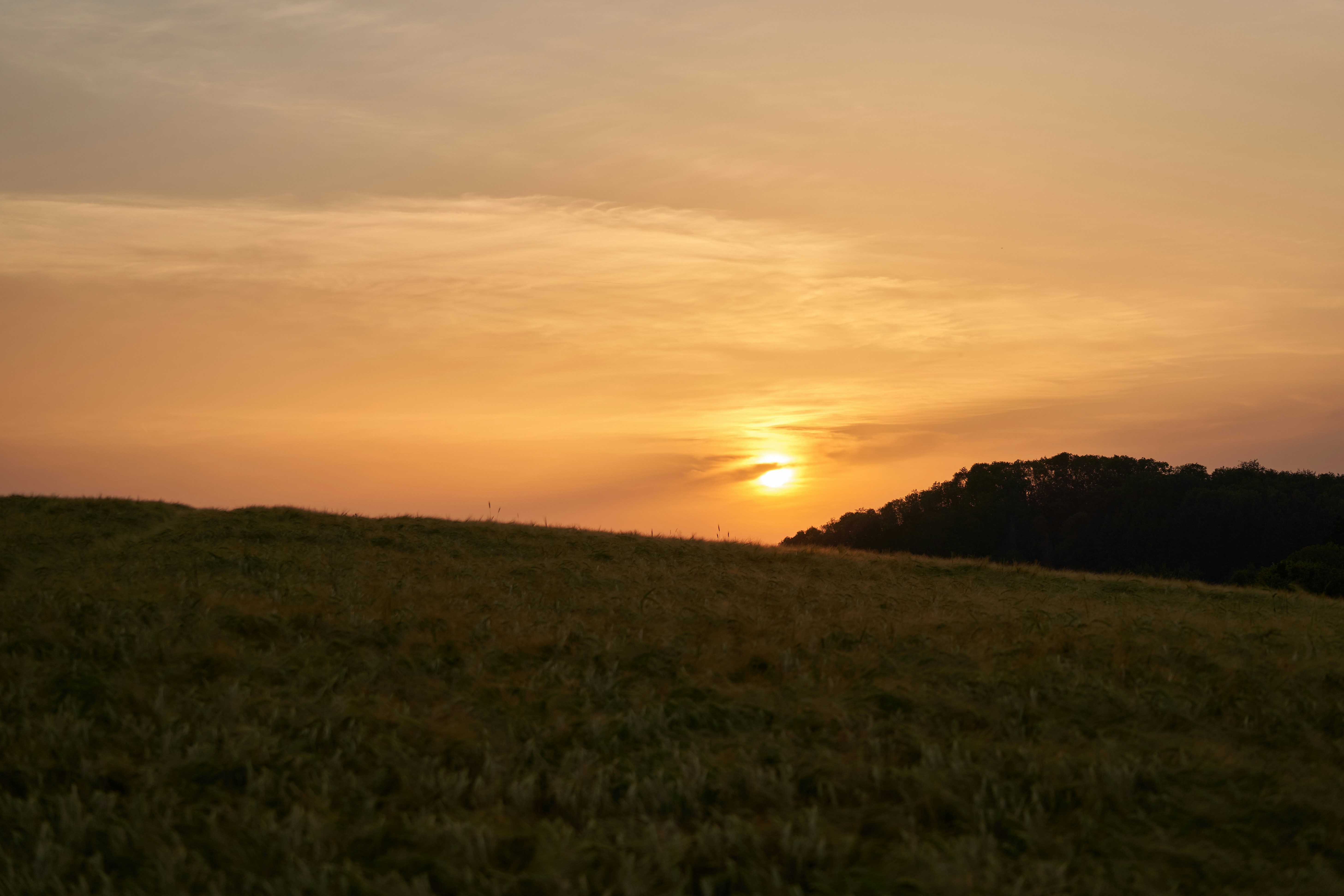 Photo by wolfgang_hasselmann