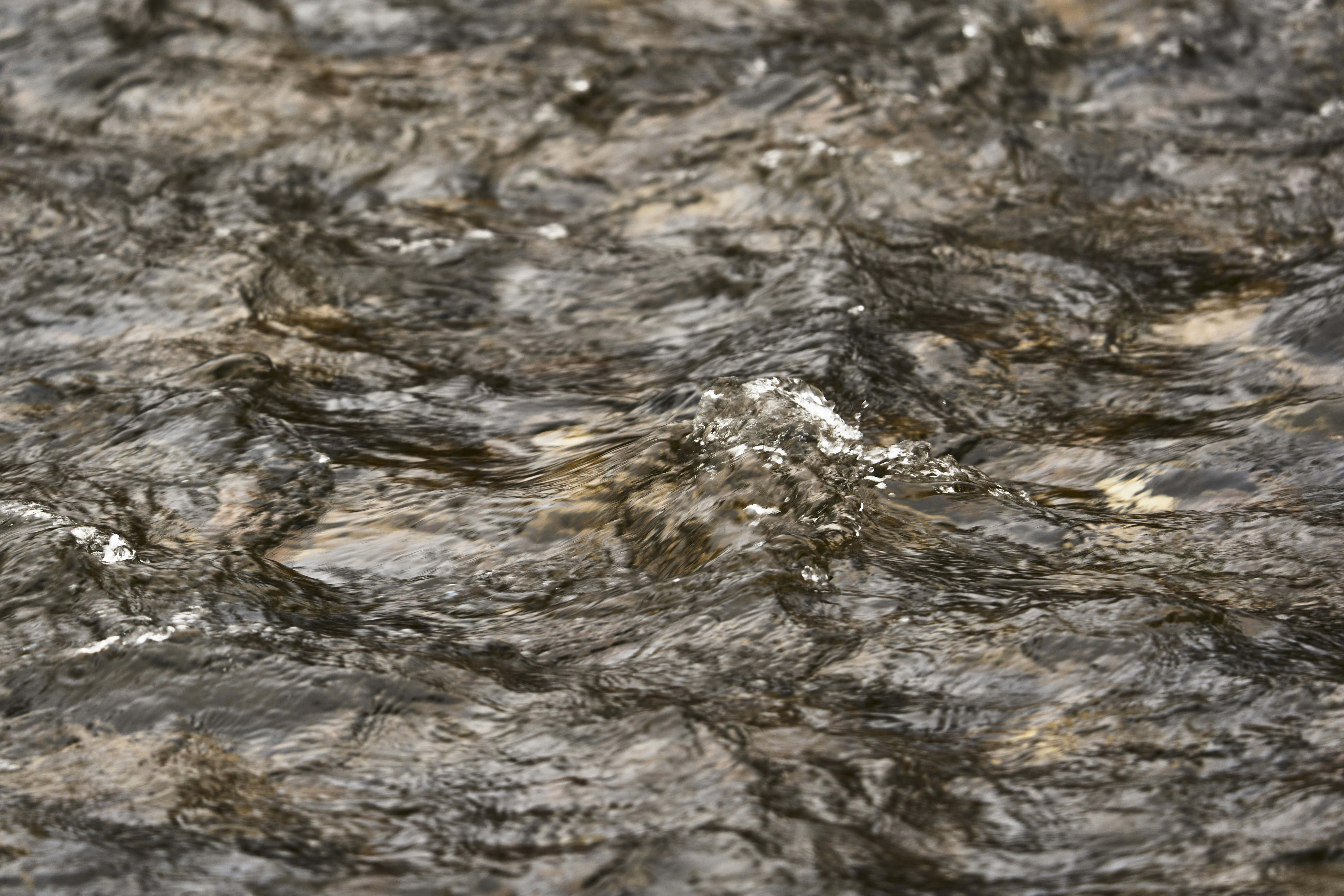 Photo by wolfgang_hasselmann