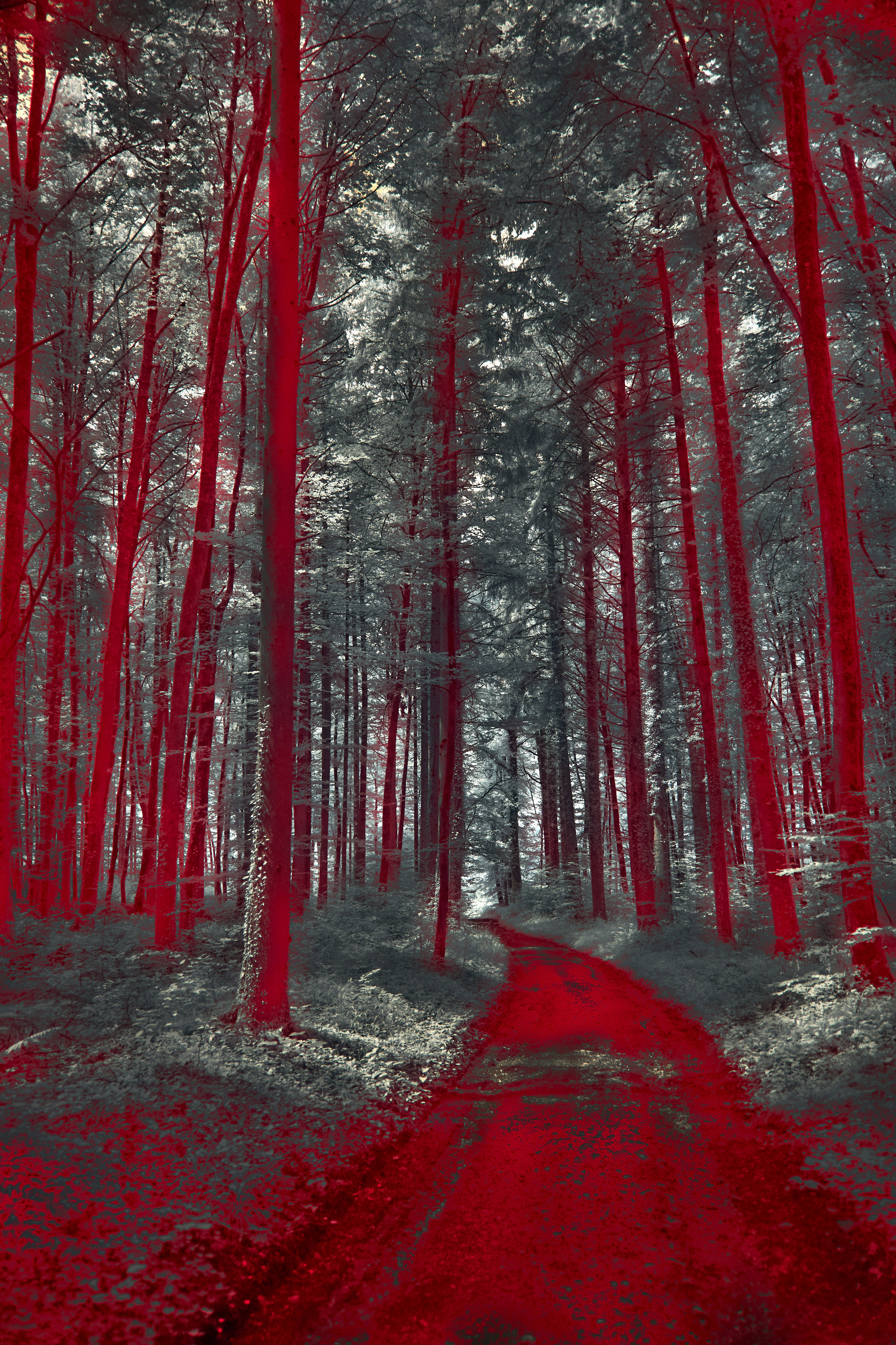 Photo by wolfgang_hasselmann