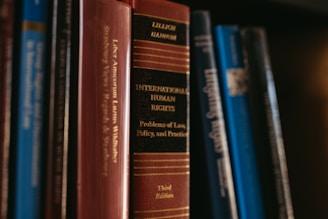 Books related to law and human rights are visible.