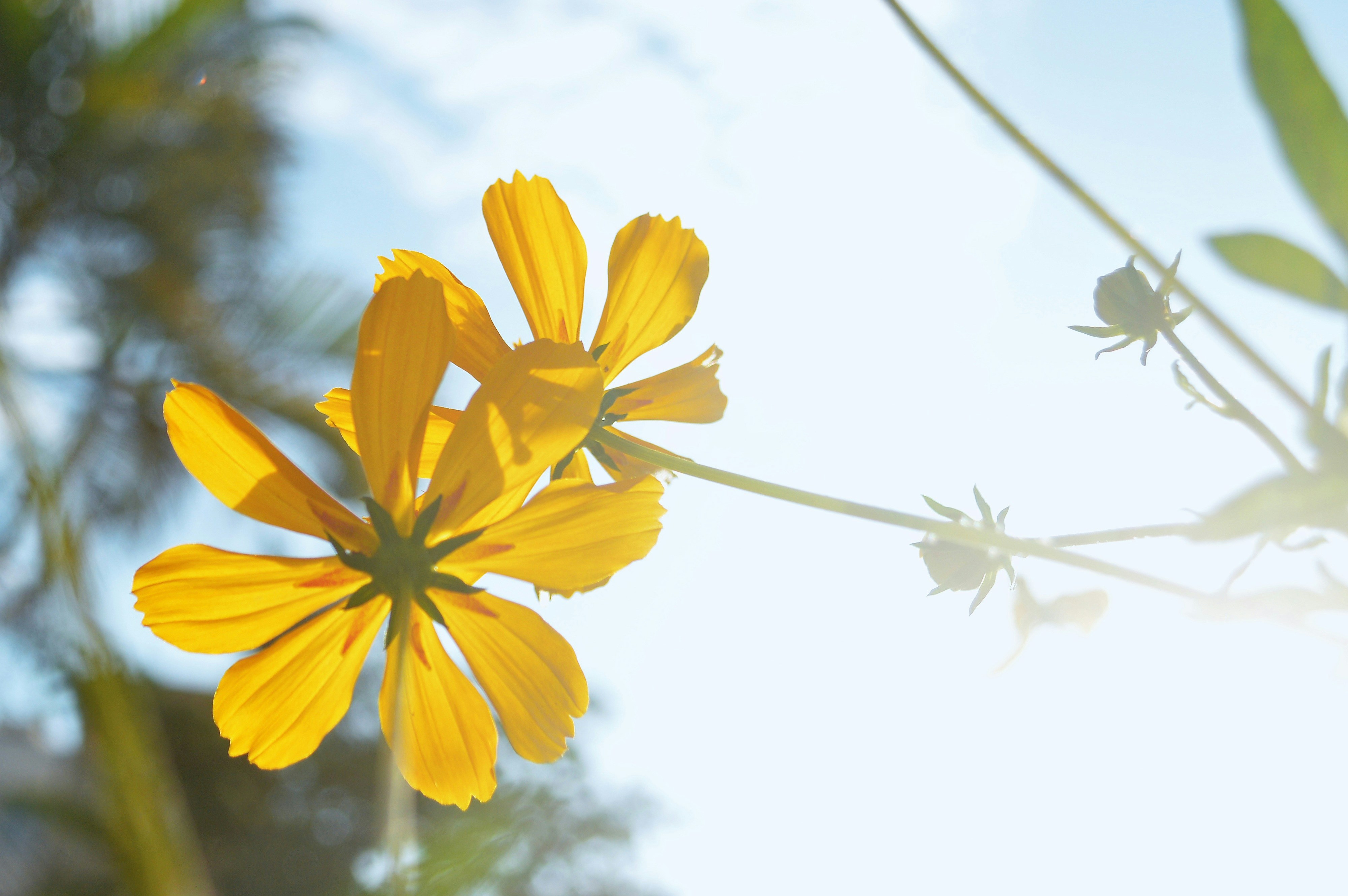 Photo by oscaralex16