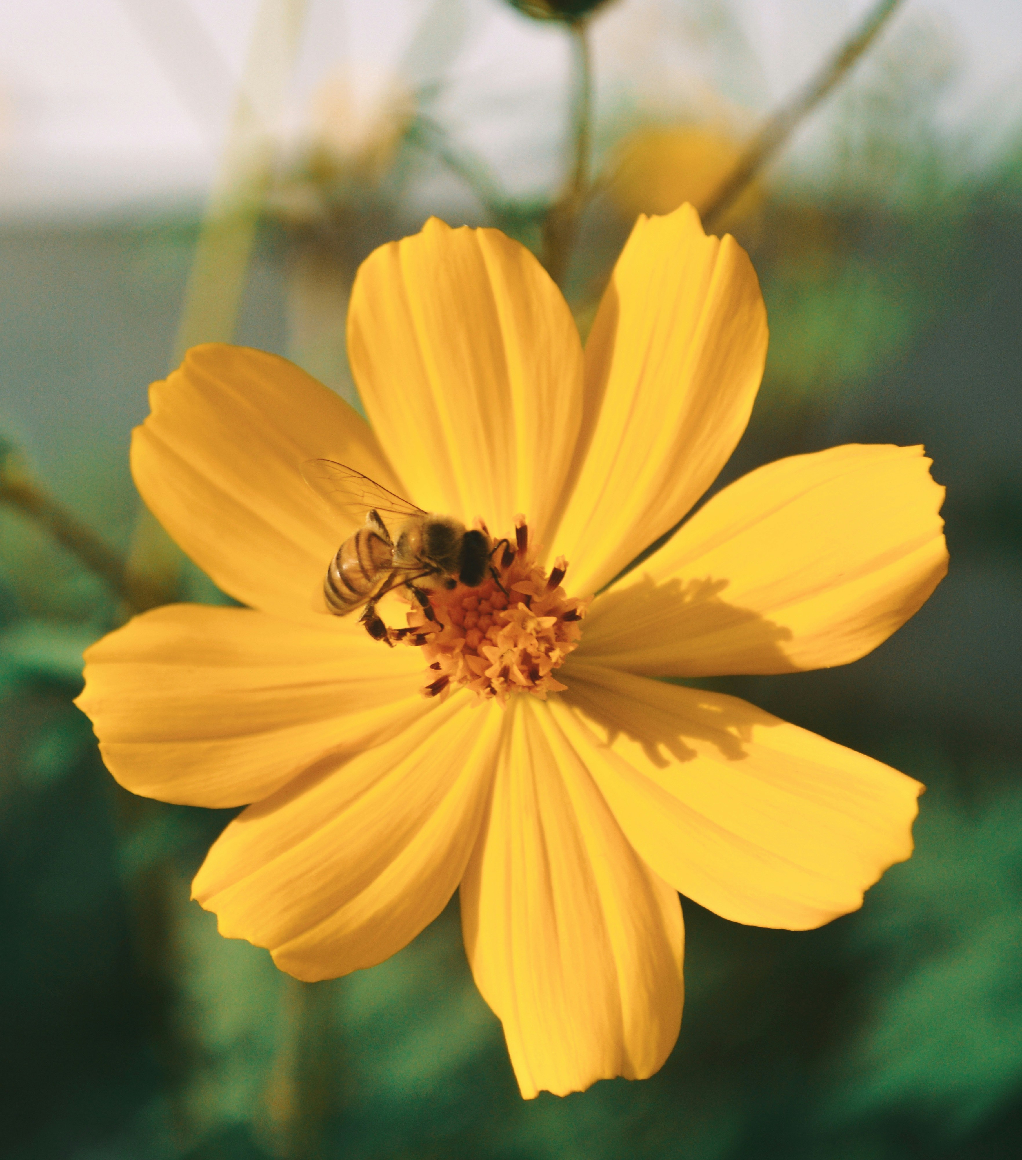 Photo by oscaralex16