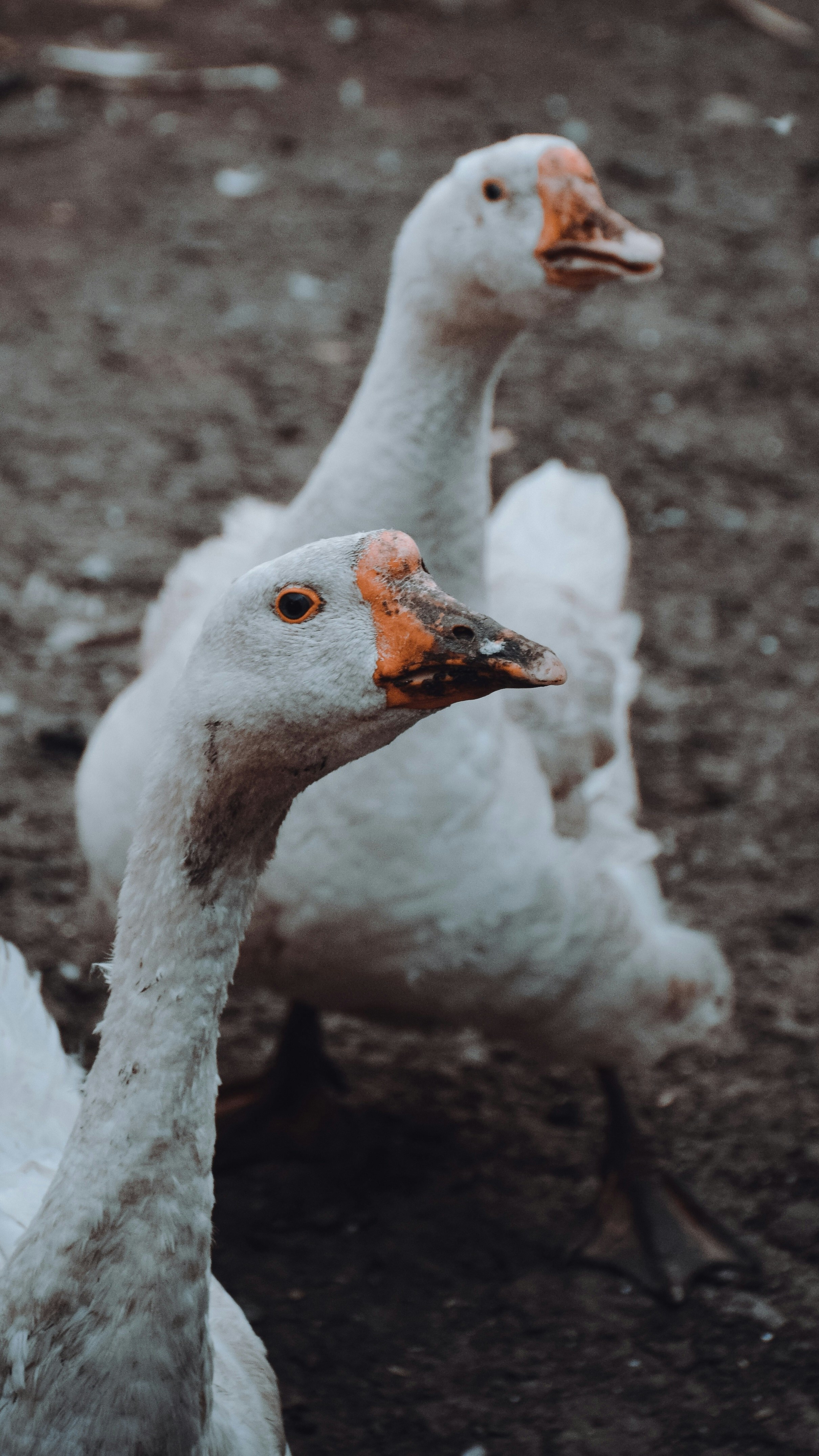 Photo by lvovandrewph