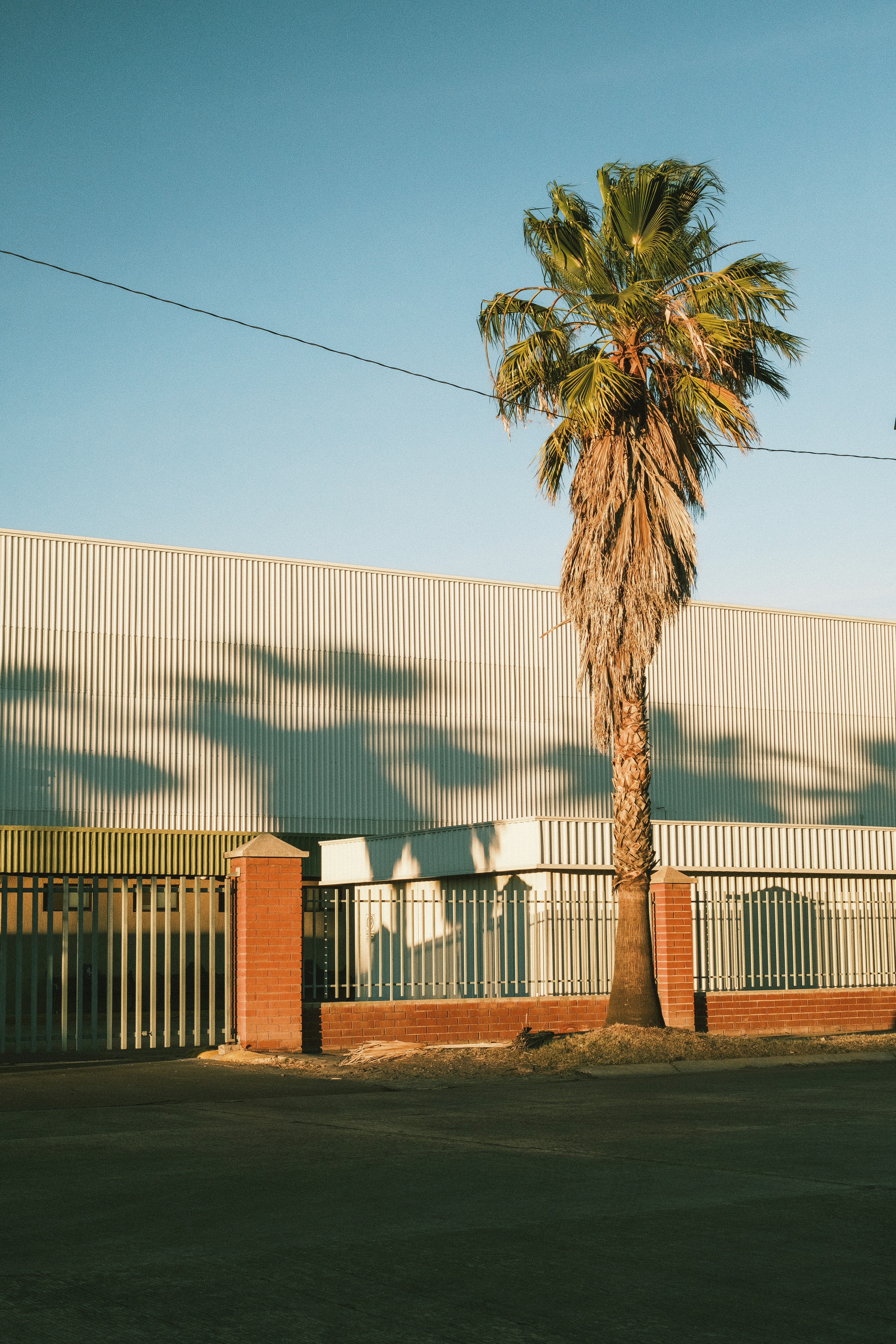 Photo by alex_quezada