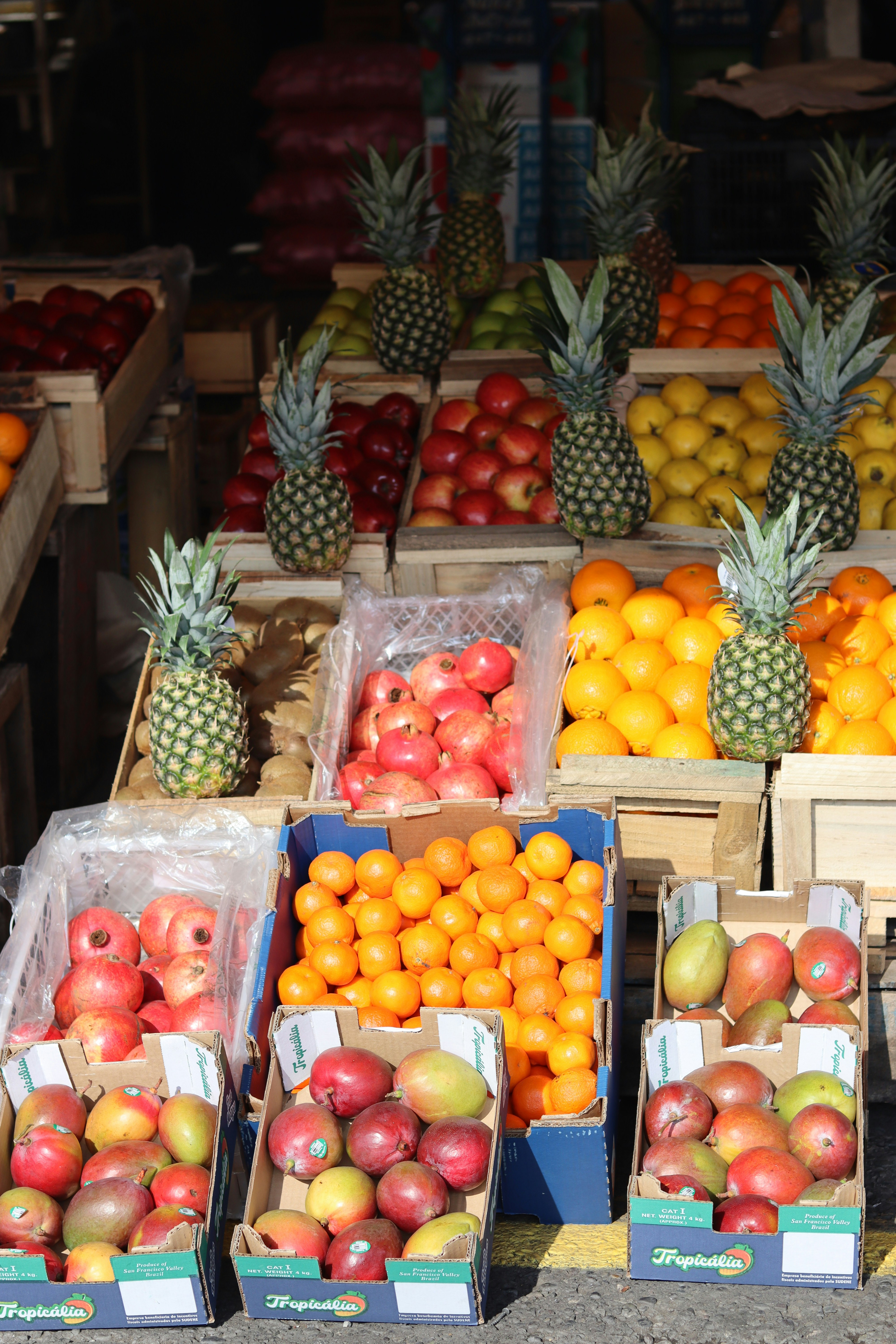 Photo by rodrigotypo