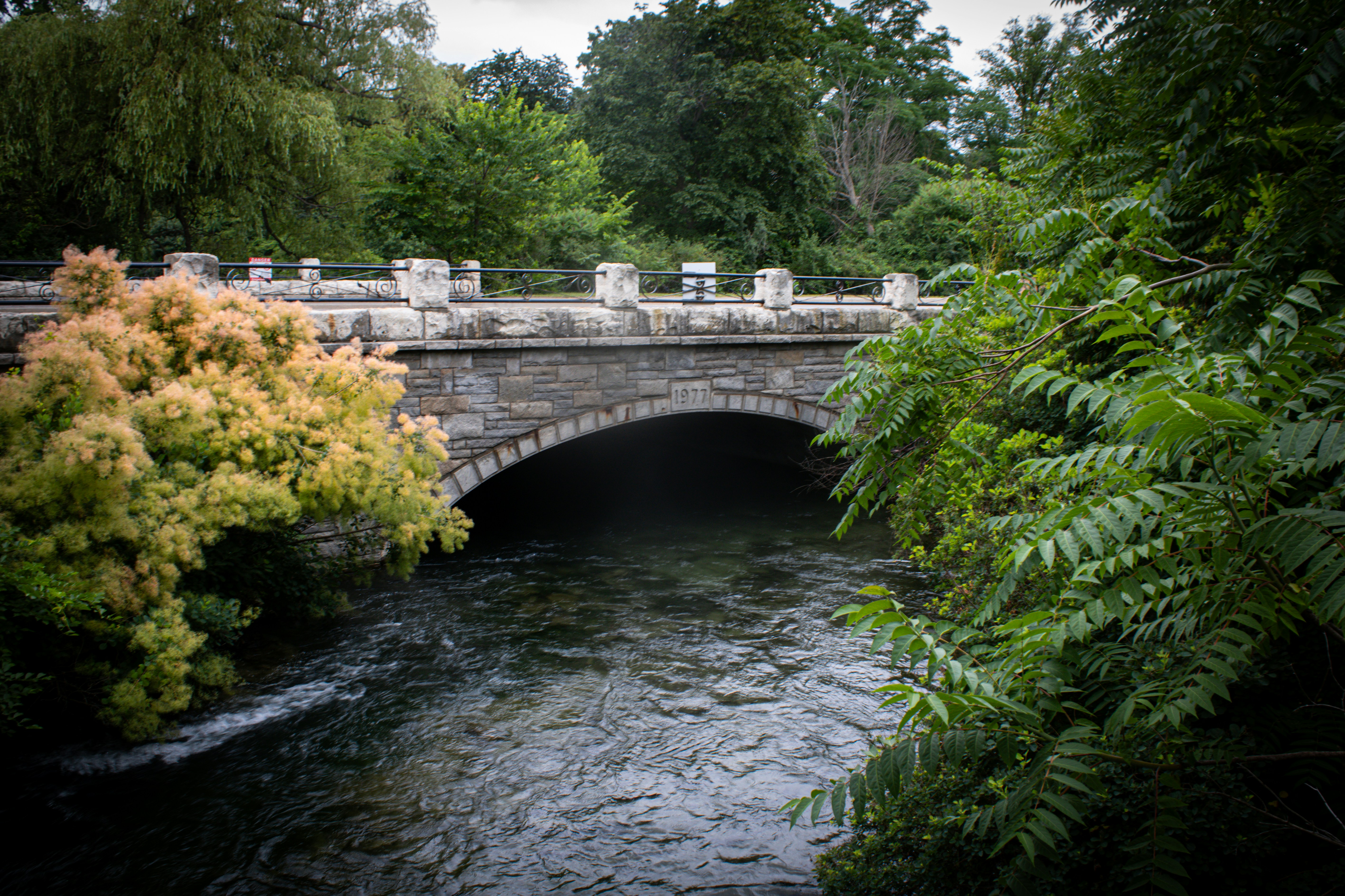 Photo by jennygasoline