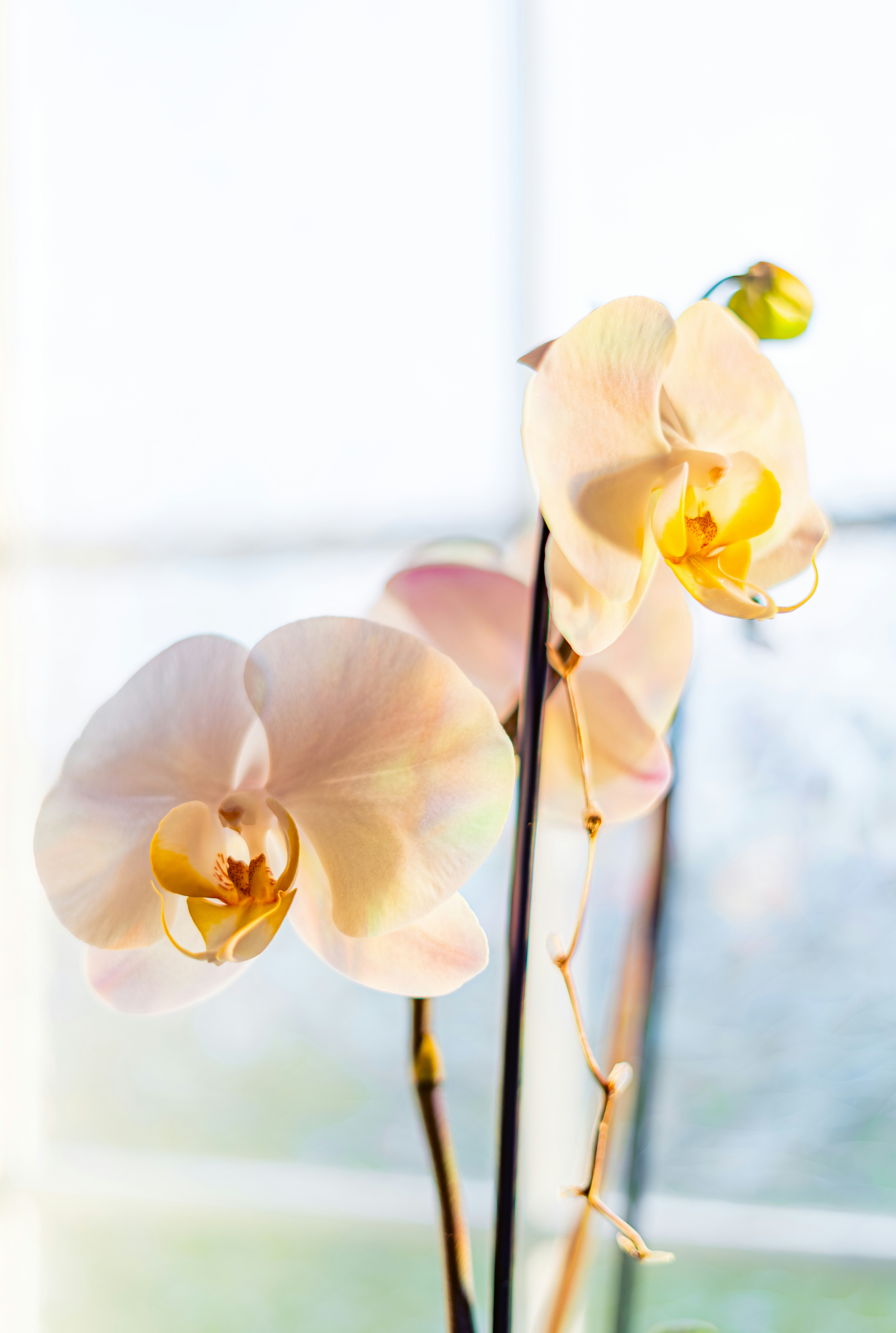 Photo by francis_nie