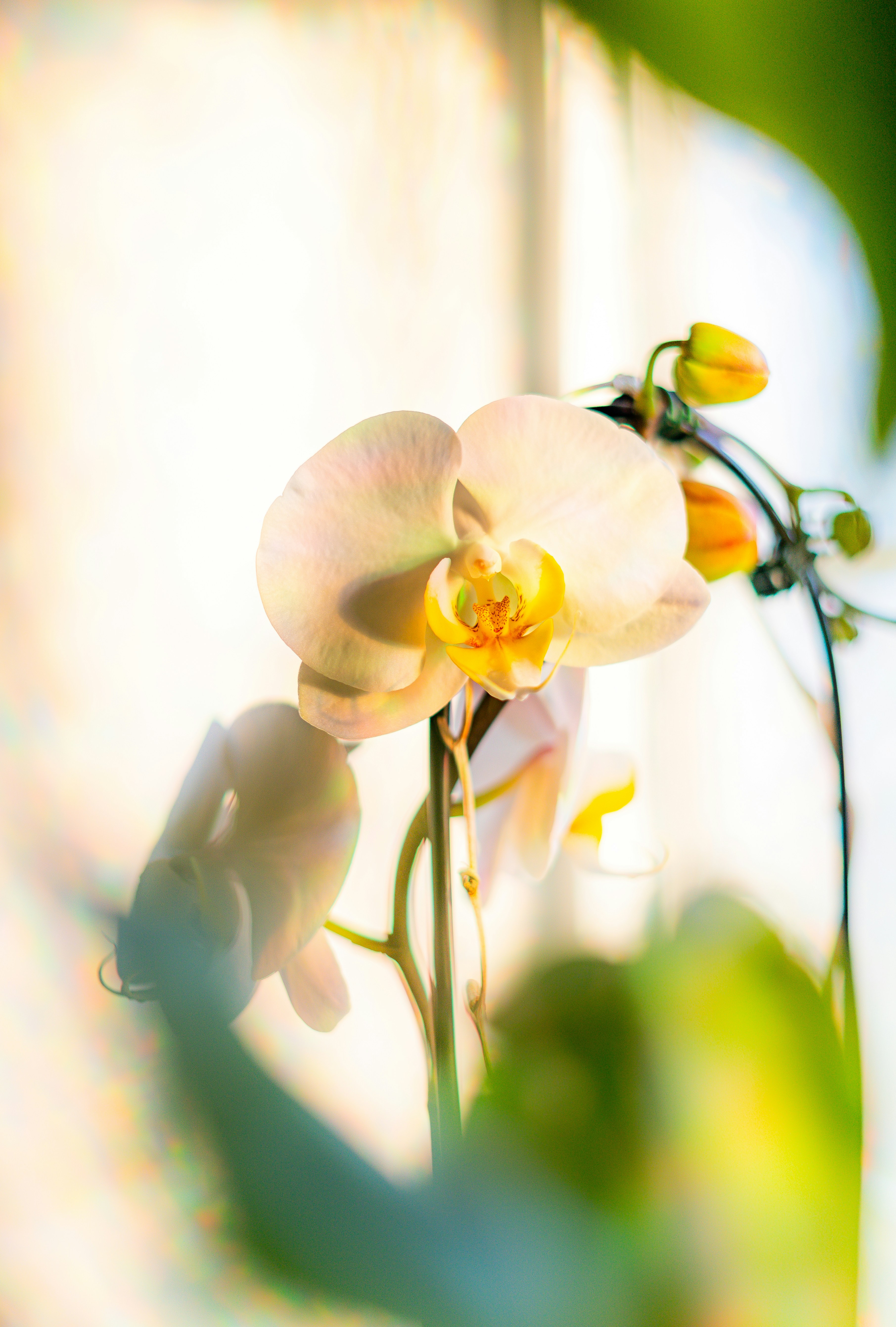 Photo by francis_nie