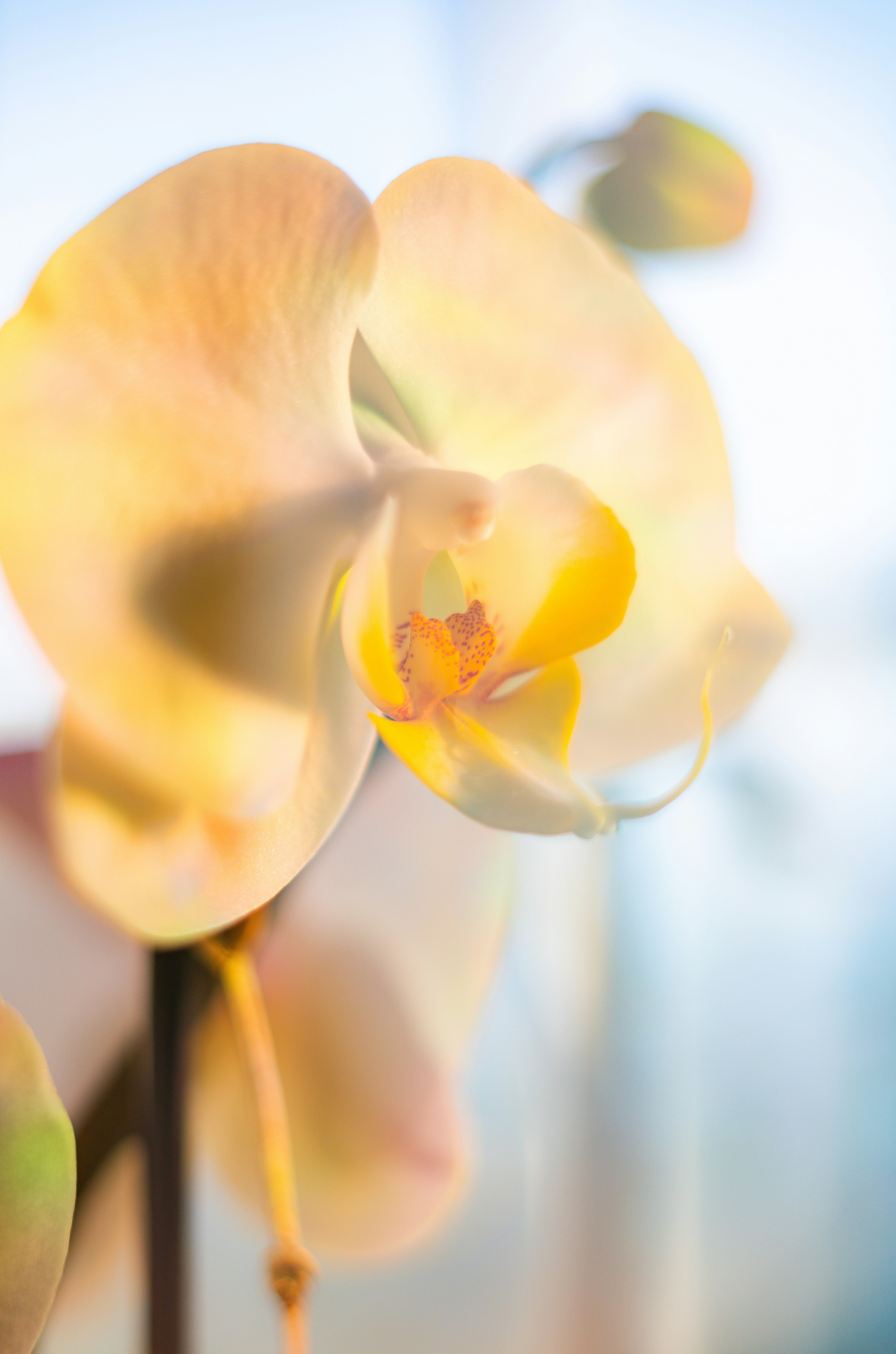 Photo by francis_nie