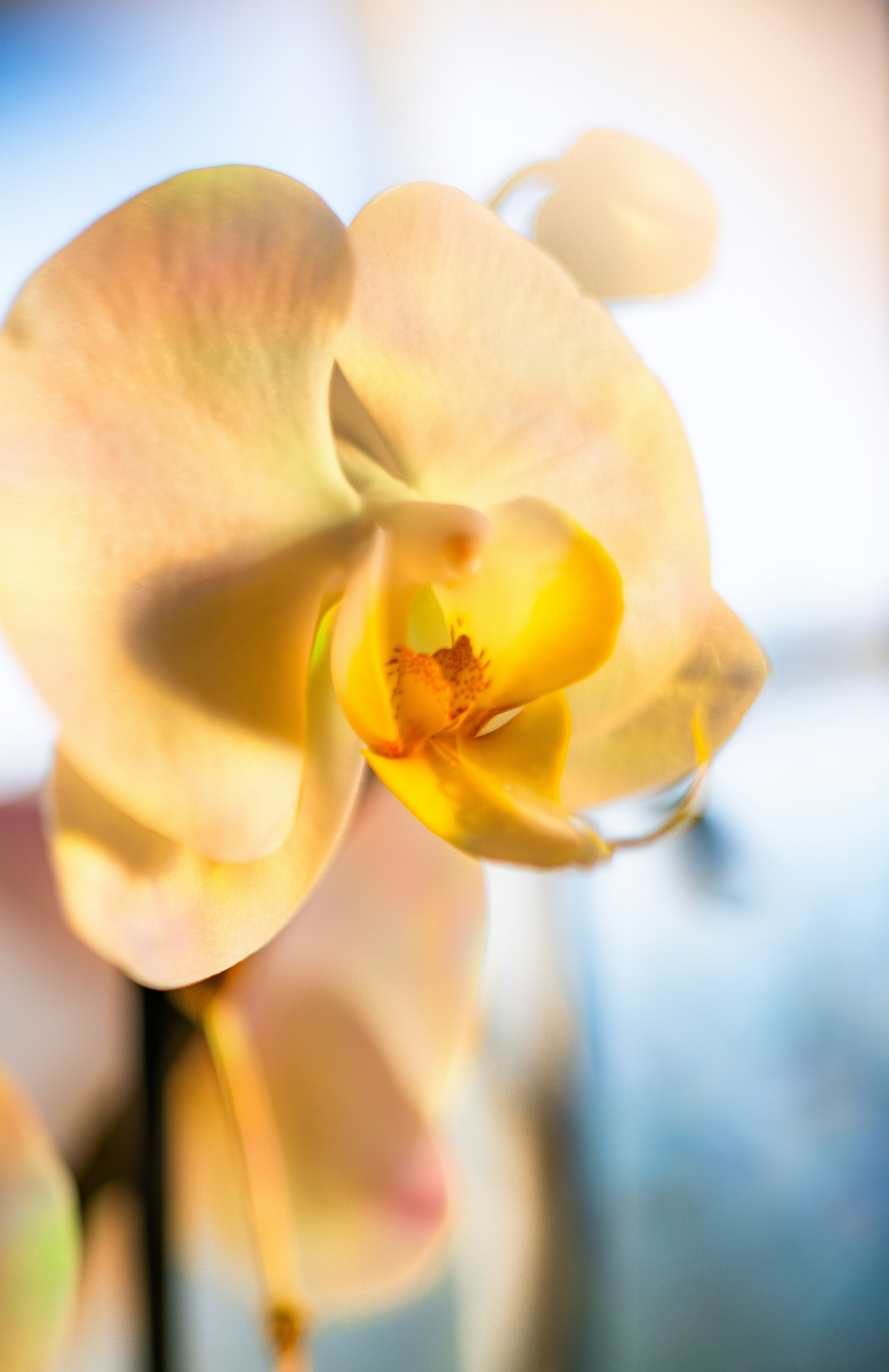 Photo by francis_nie