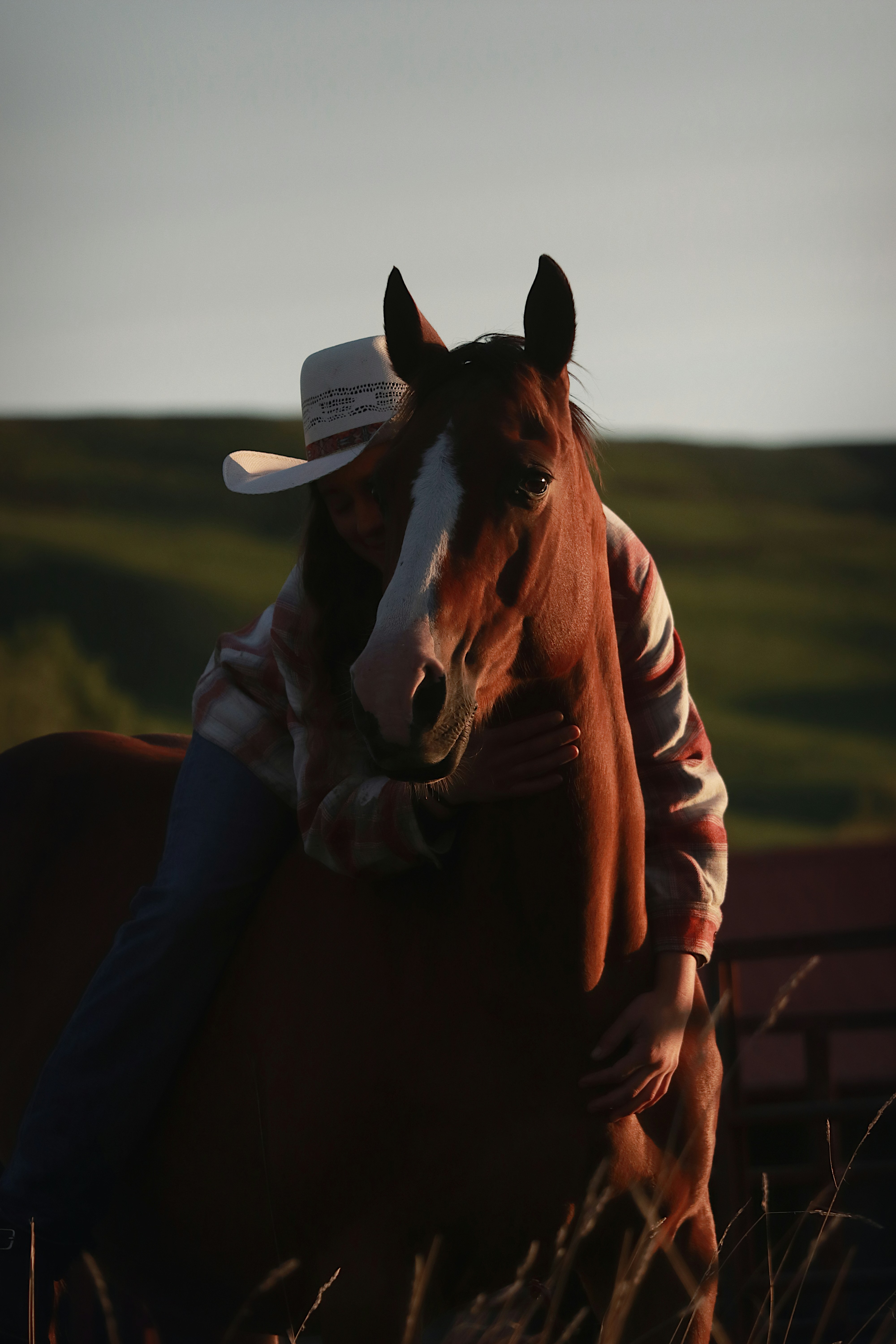 Cowgirl lovingly hugs a horse in a sunset.