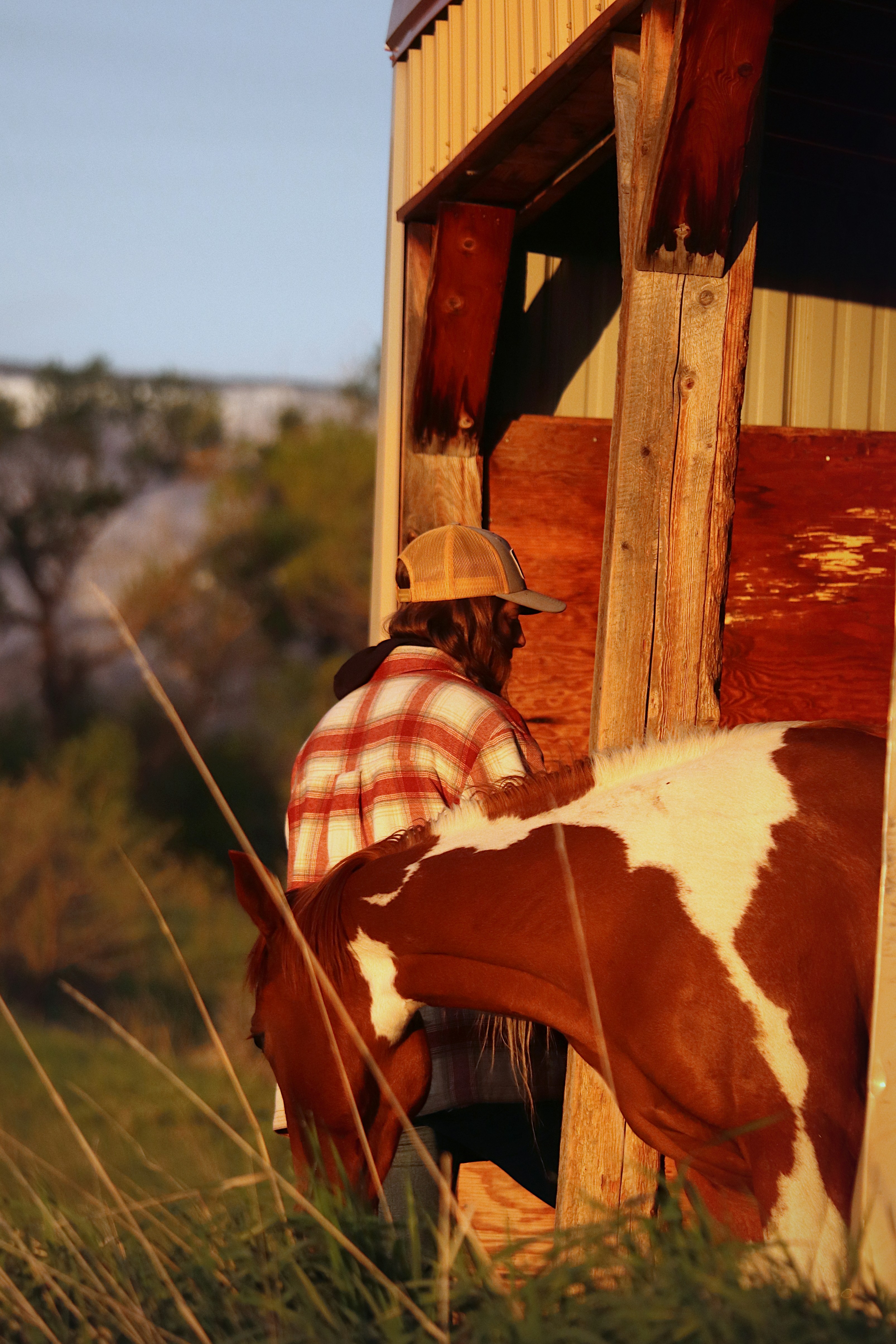 A person feeds a horse from a wooden structure.