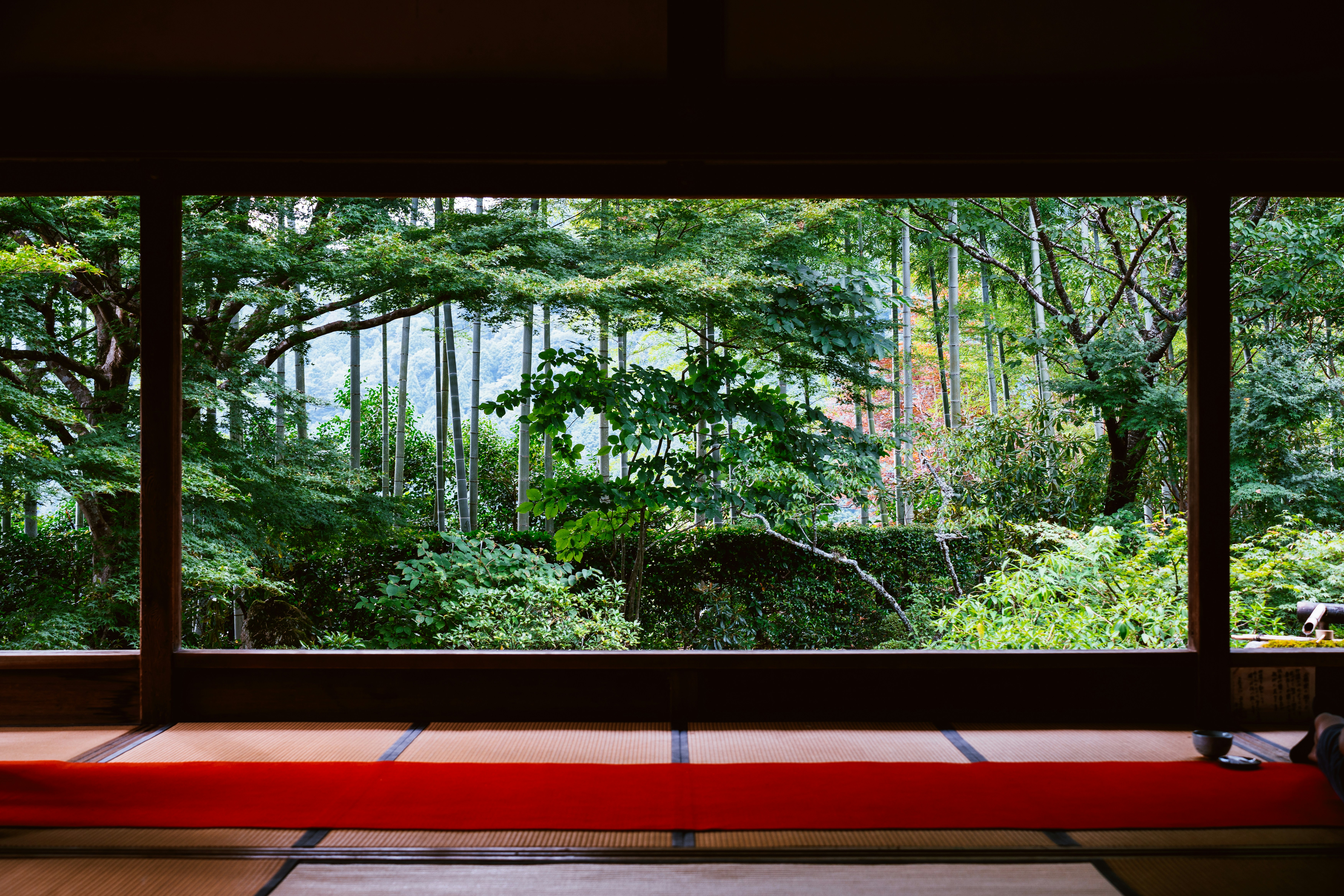 Japanese forest therapy