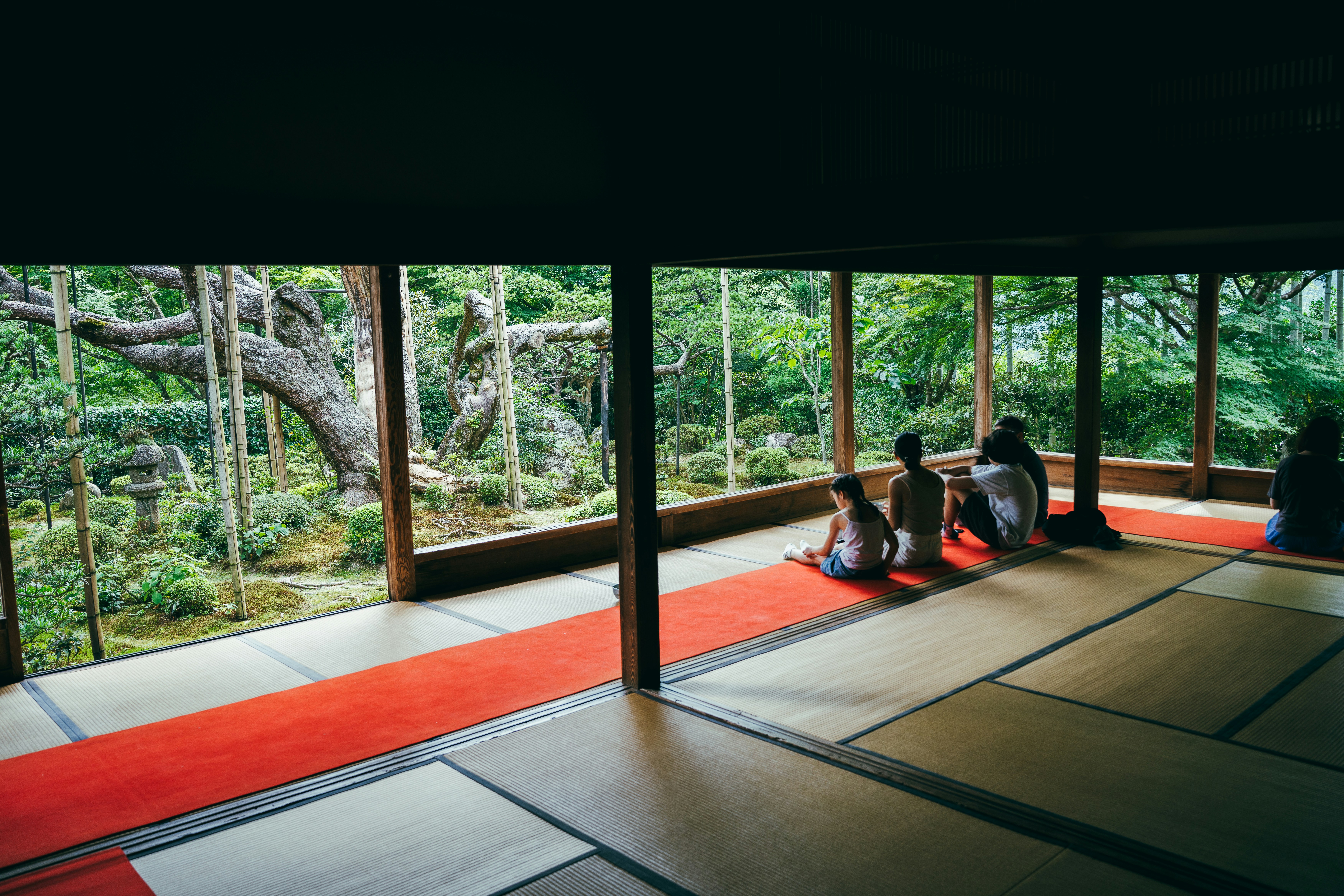 No Incense Required: How Tachikawa's Wellness Scene Is Keeping It Real While Tokyo Charges ¥8,000 for a Breathing Class