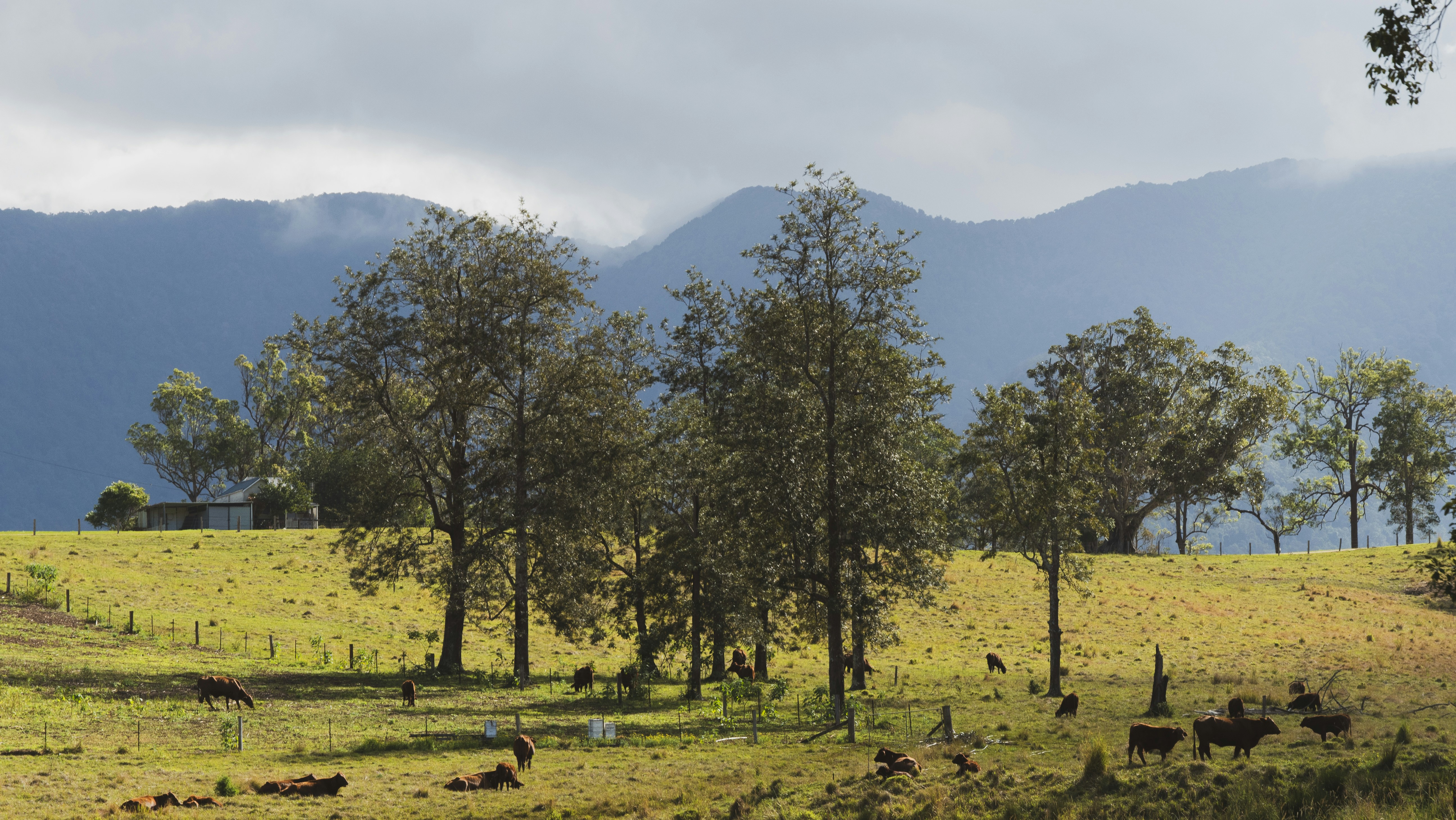 Photo by vaaalesosio