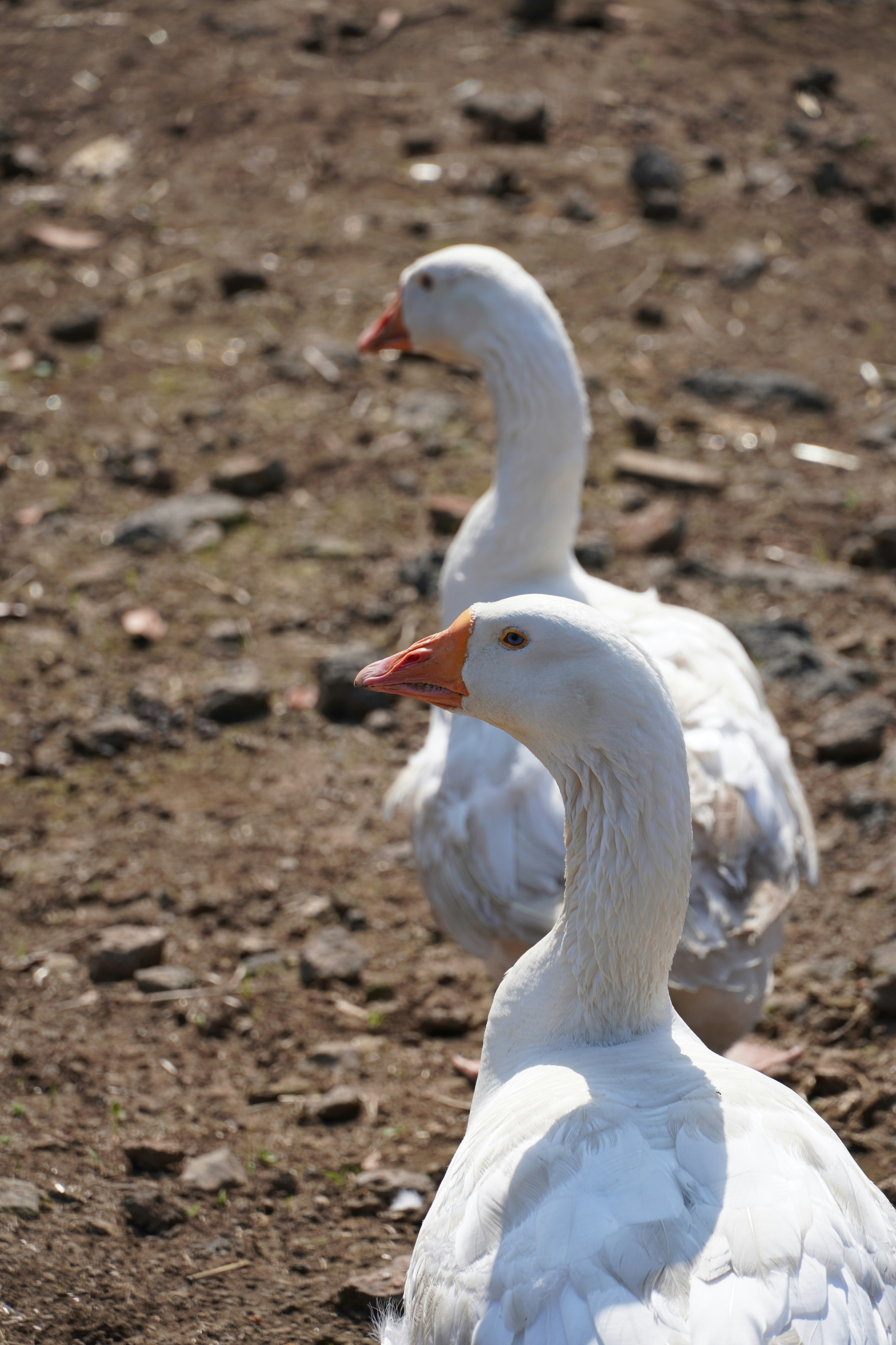 Photo by lifeinkorea