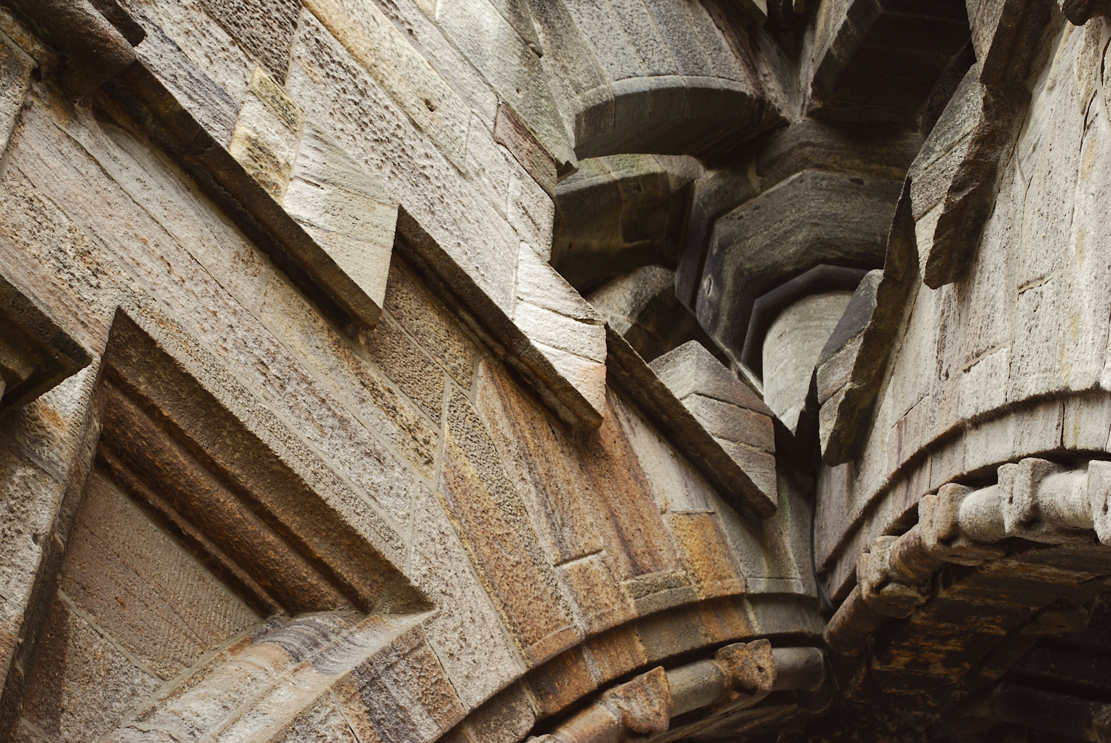 Photo by averyeclark