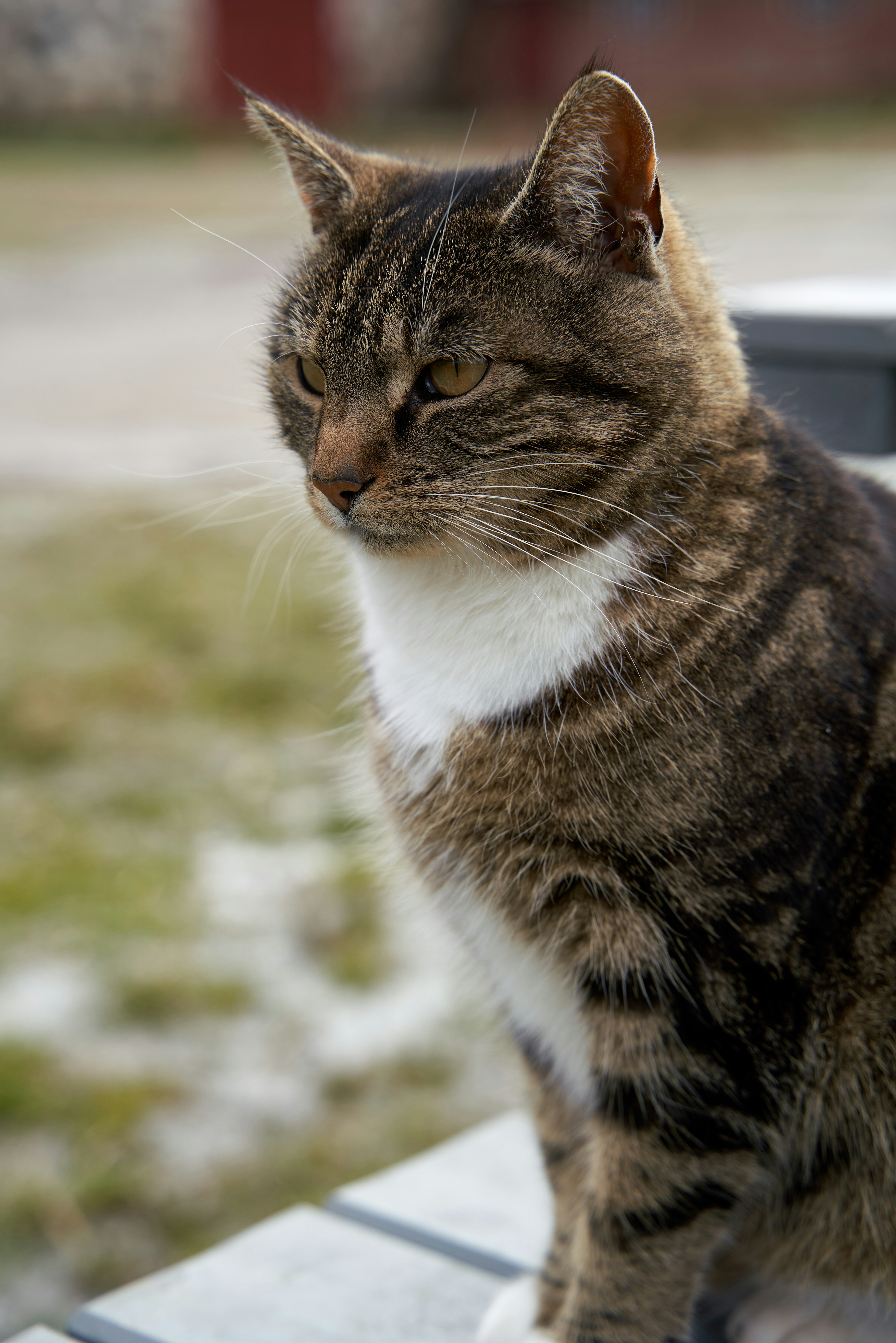 Photo by davotibarna