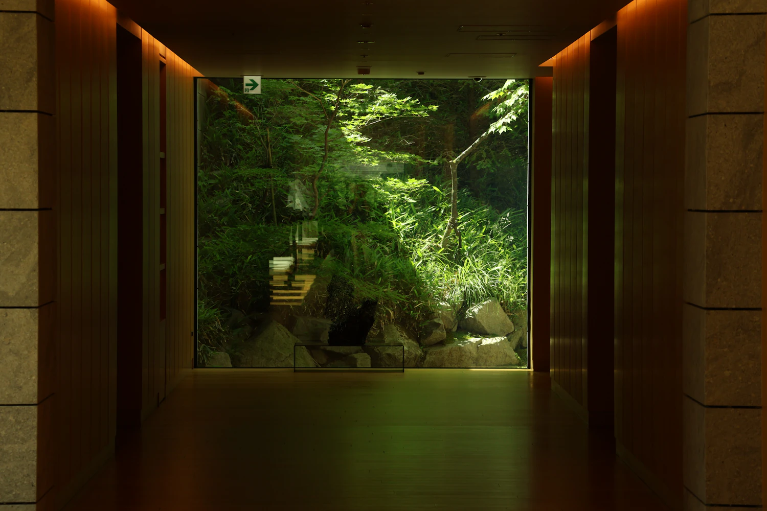 A dark timber-lined passage with a wide window looking into dense green