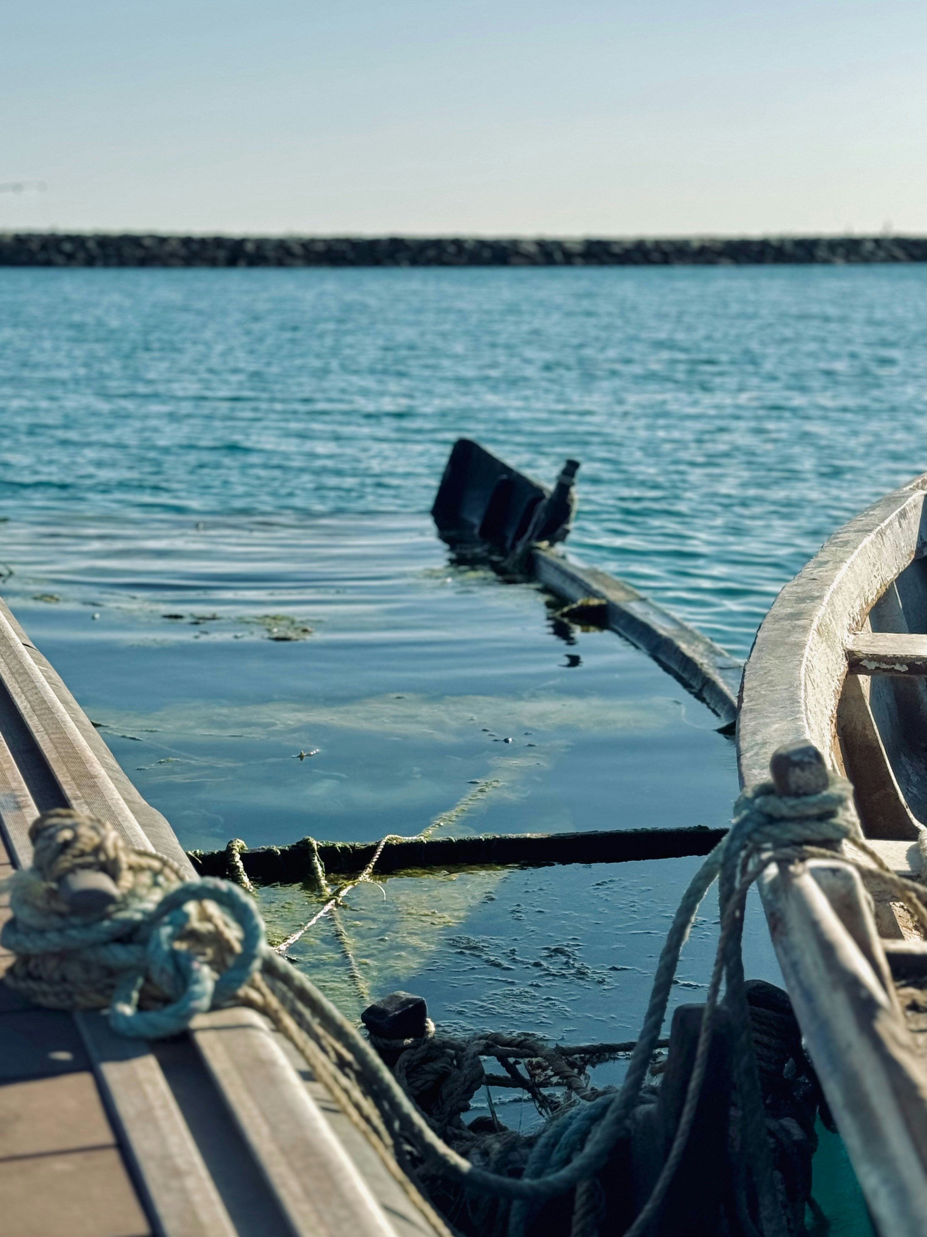 Photo by mostafatarek18