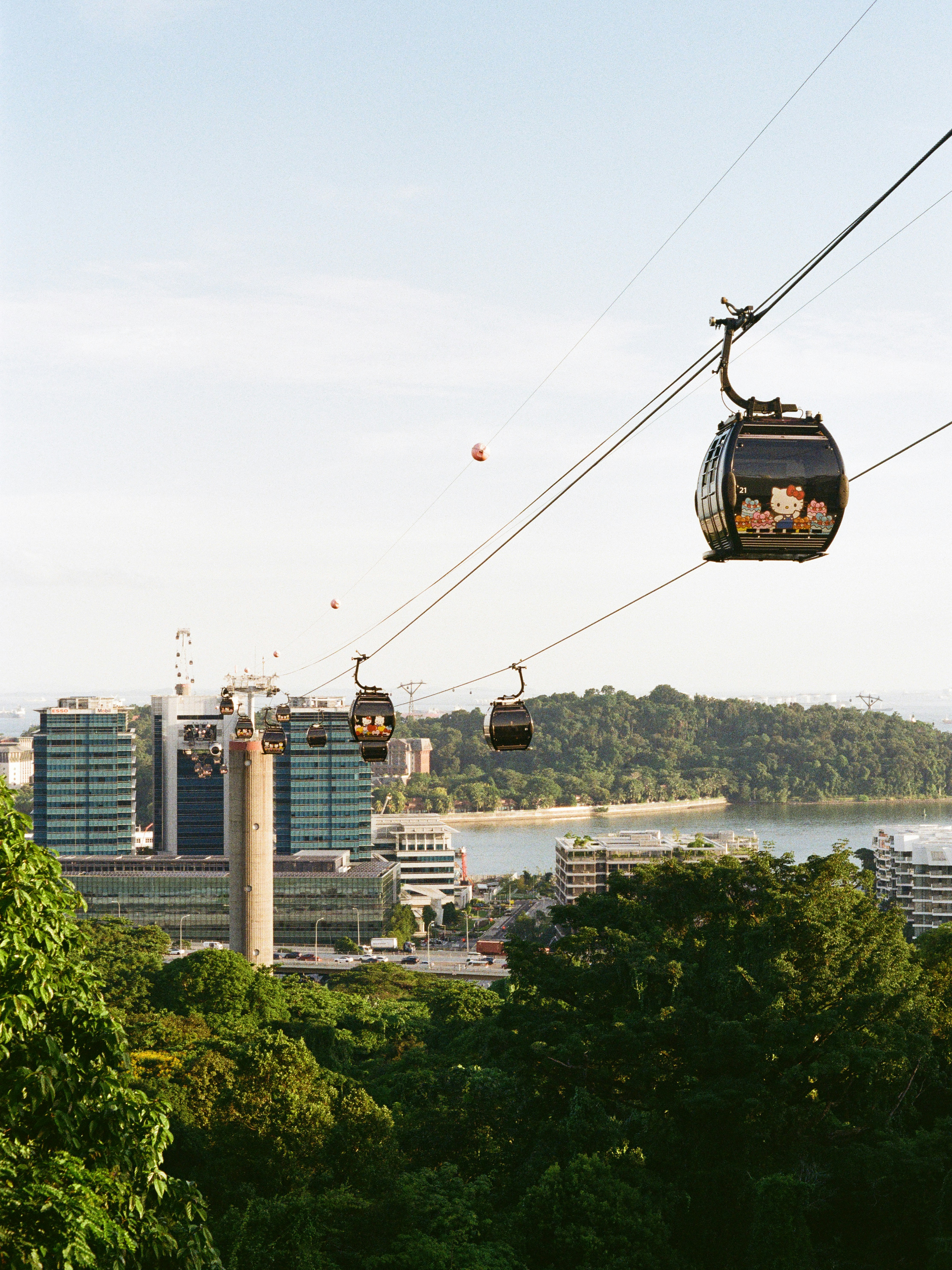 Cable cars travel over a cityscape near the water