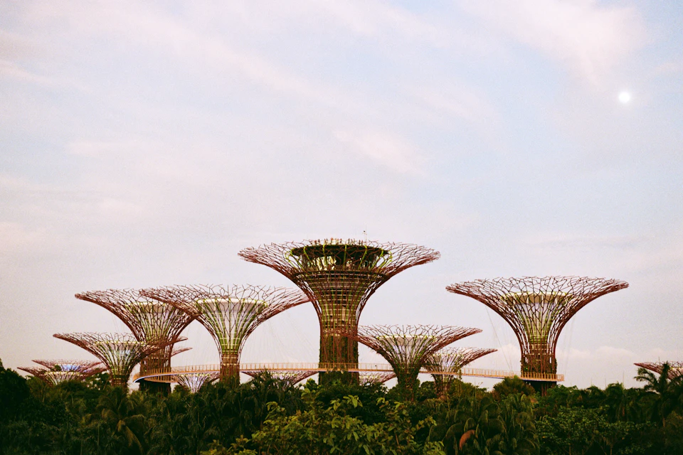 Gardens by the Bay's Supertree Grove at dusk: 18 towering 25-50m vertical garden structures planted with 162,900 plants illuminated against the Singapore skyline