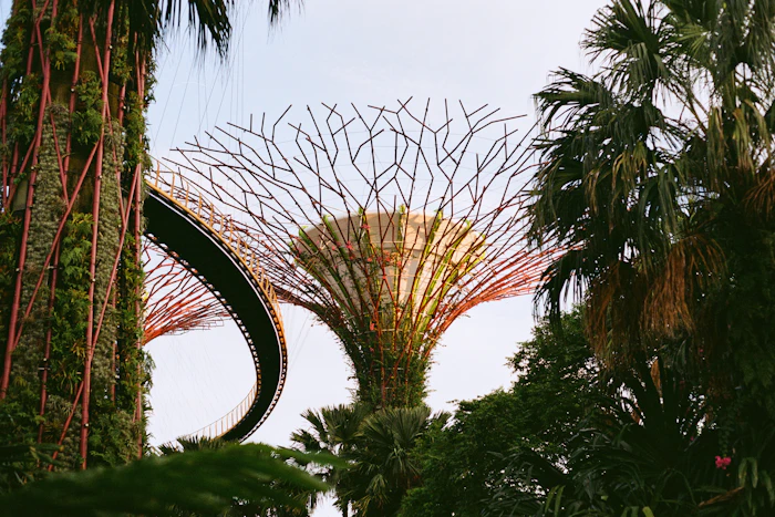 Supertree Grove at Gardens by the Bay