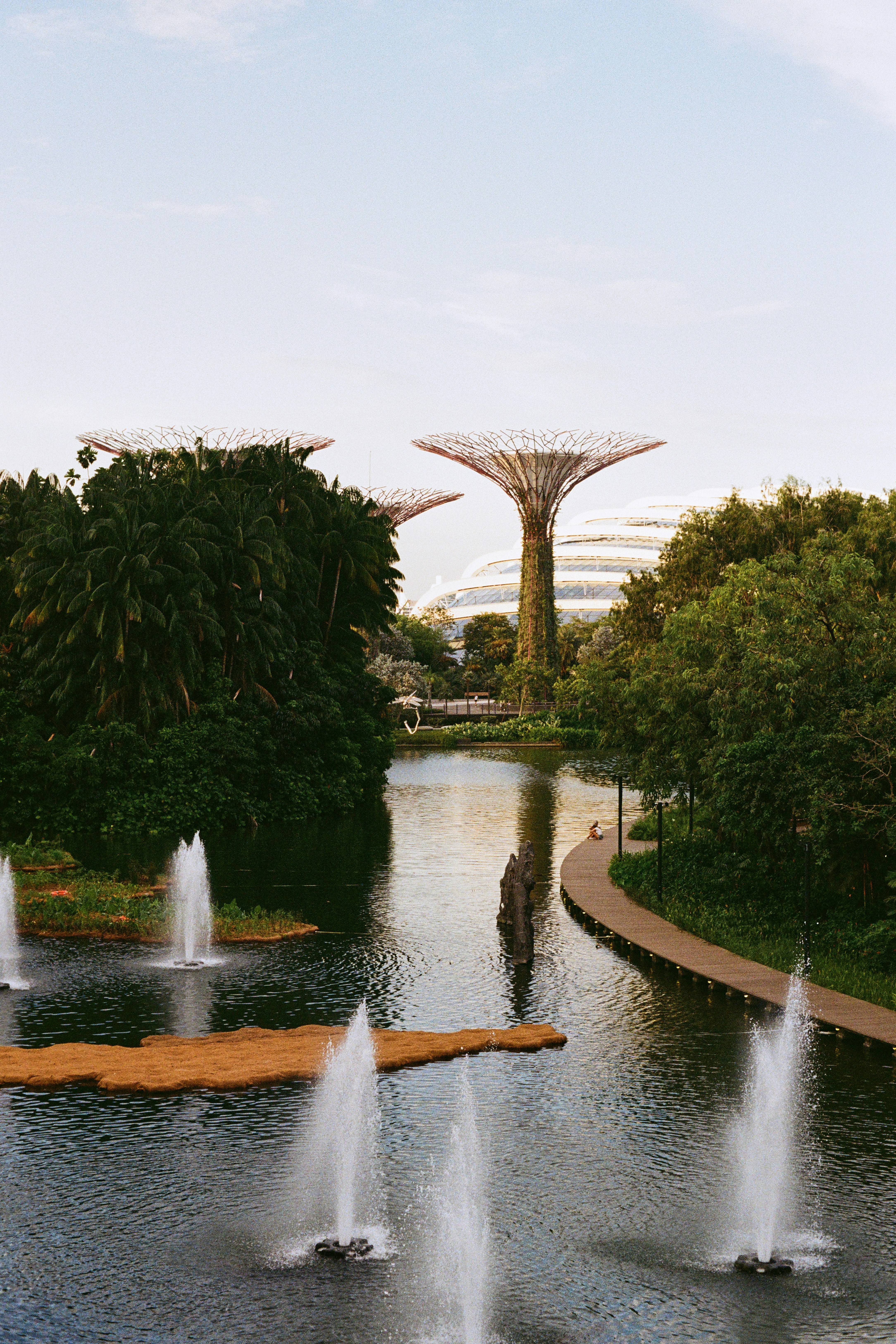 Gardens by the bay, singapore, with a water feature.