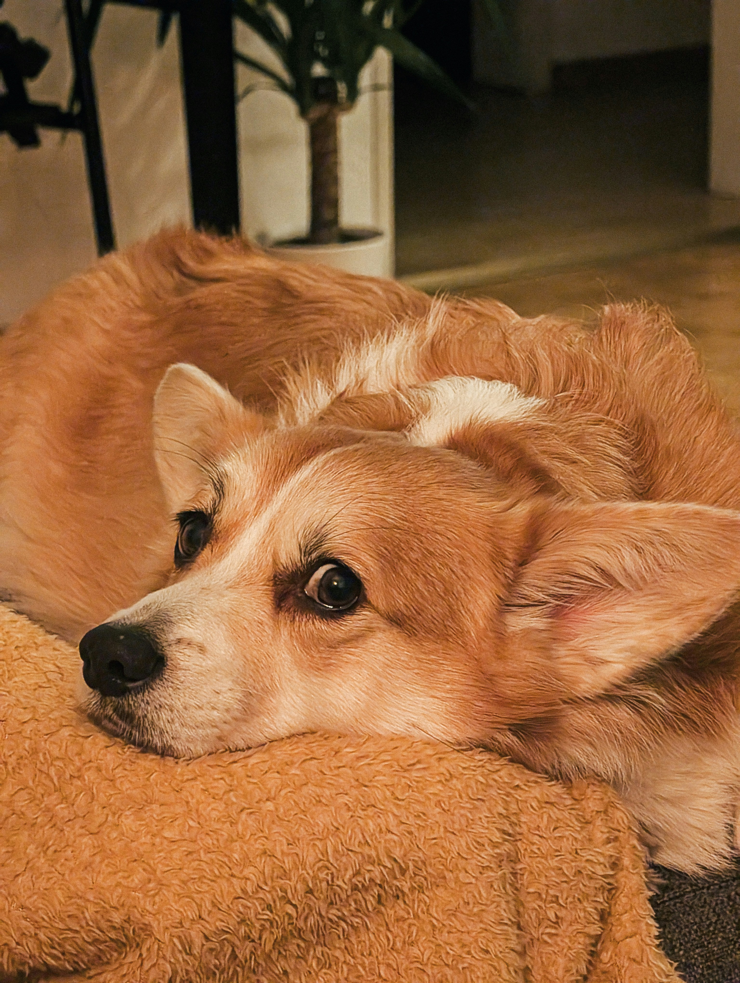 Photo by alexeykuleshov