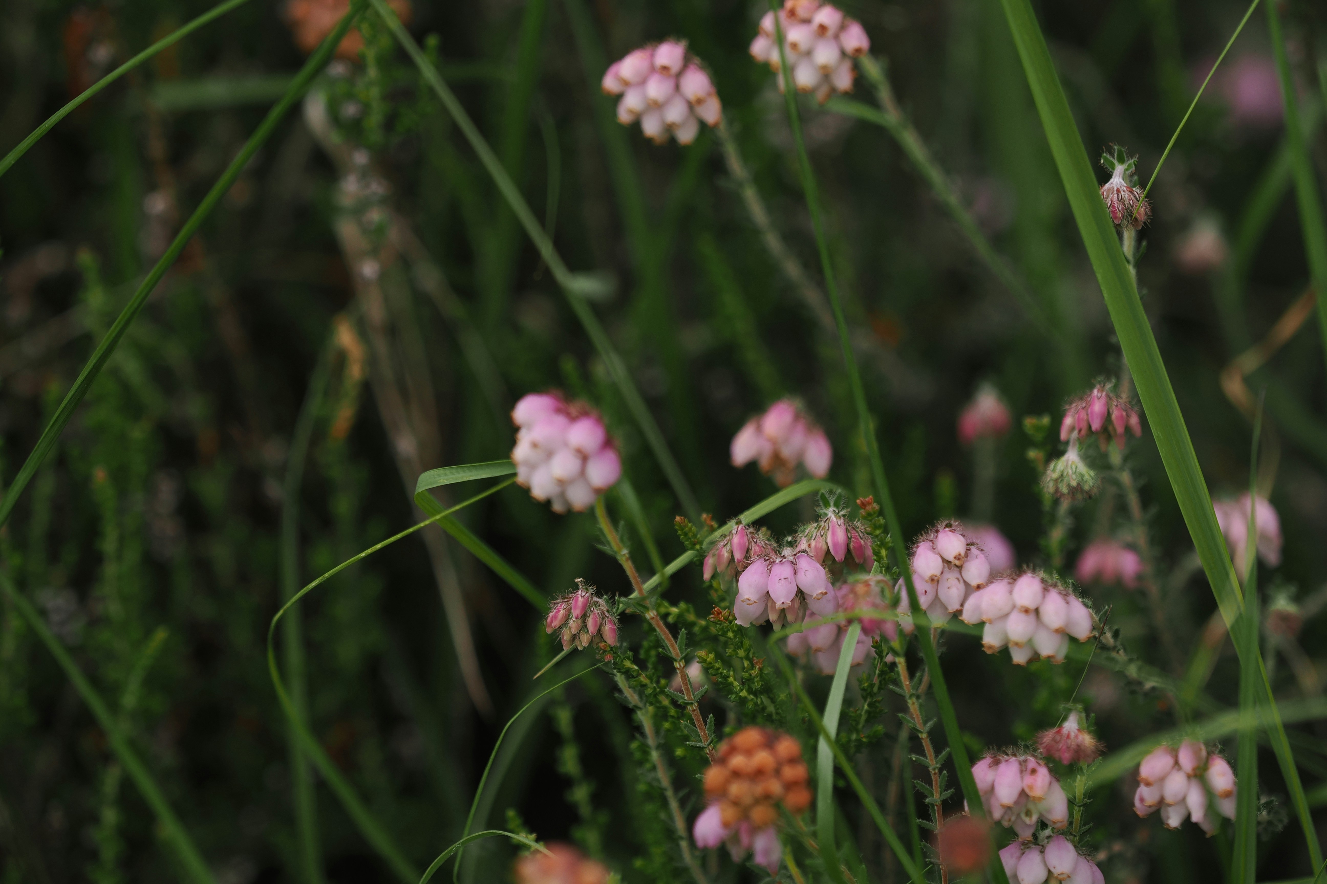 Photo by fotografie_thomas_nolte