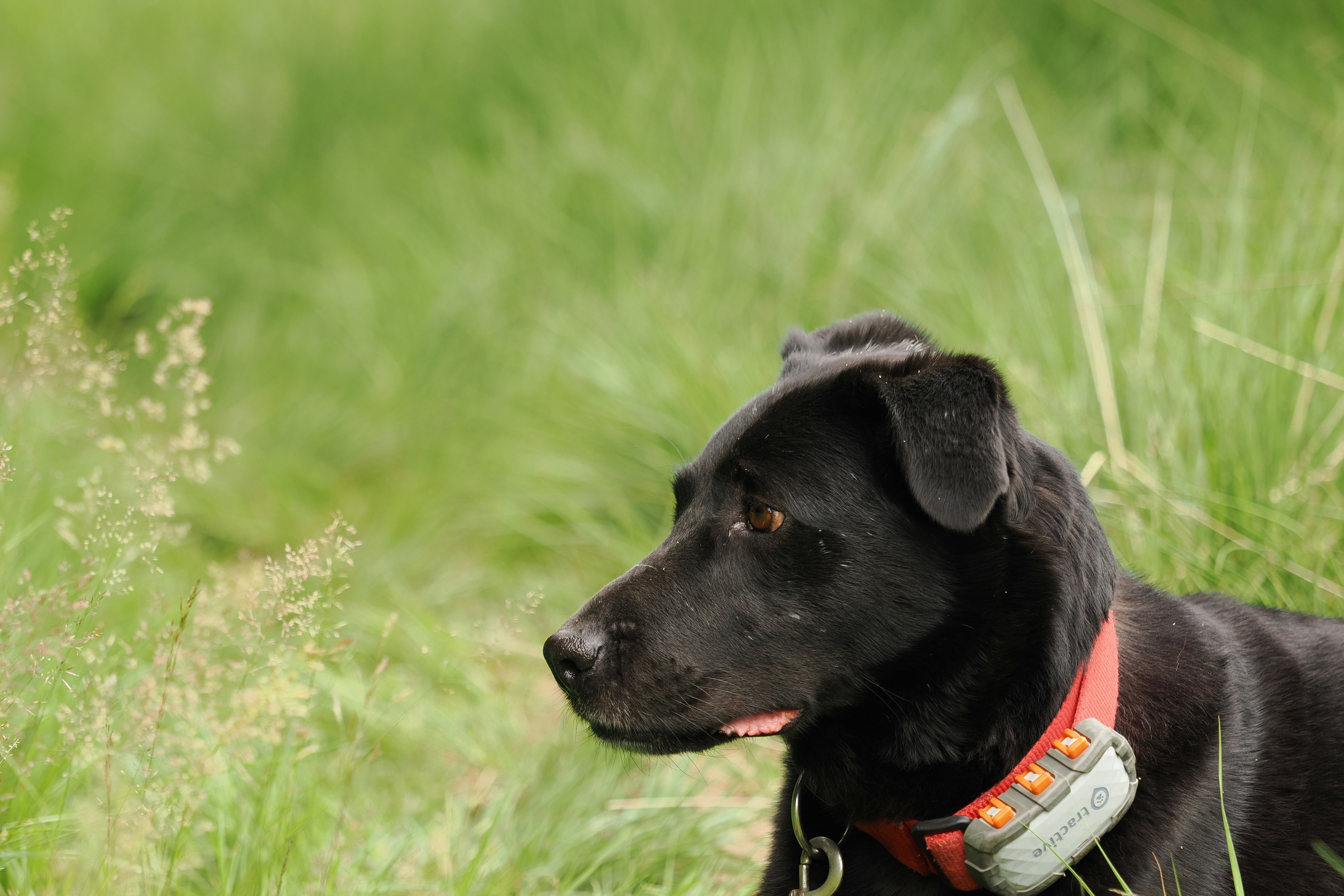 Photo by fotografie_thomas_nolte