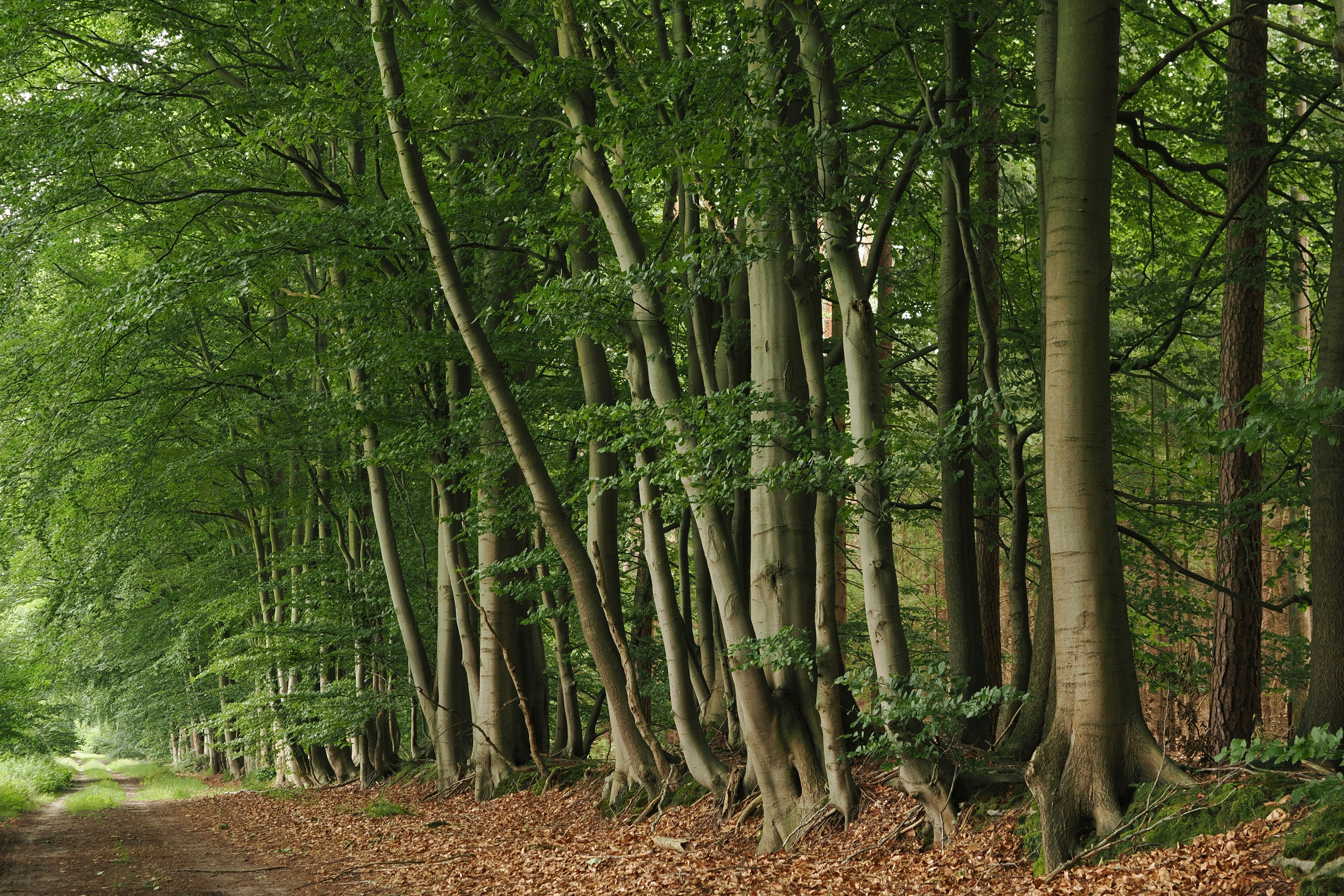 Photo by fotografie_thomas_nolte