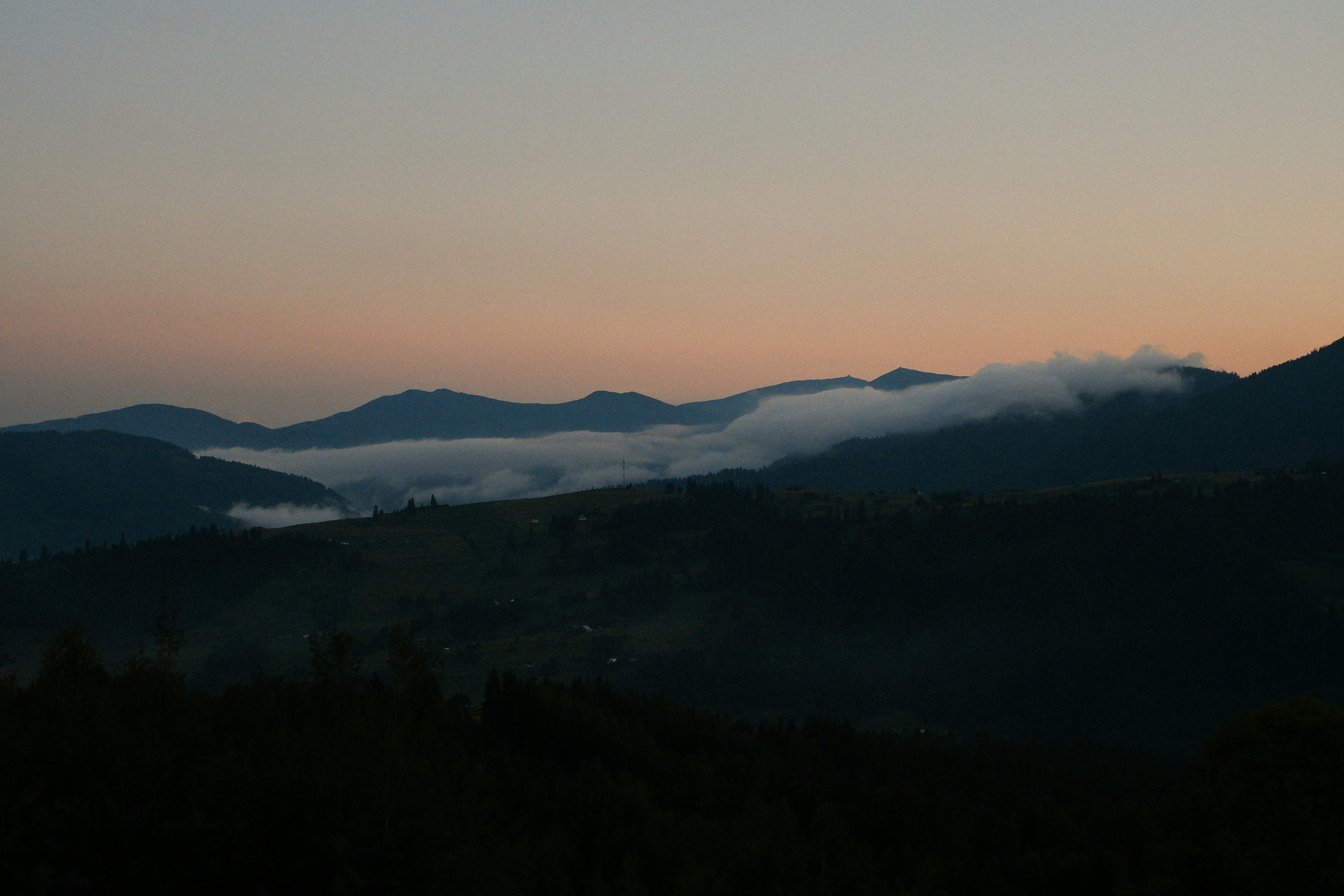 Photo by pavlo_talpa