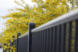 Solid dark metal fence line by Young Bros