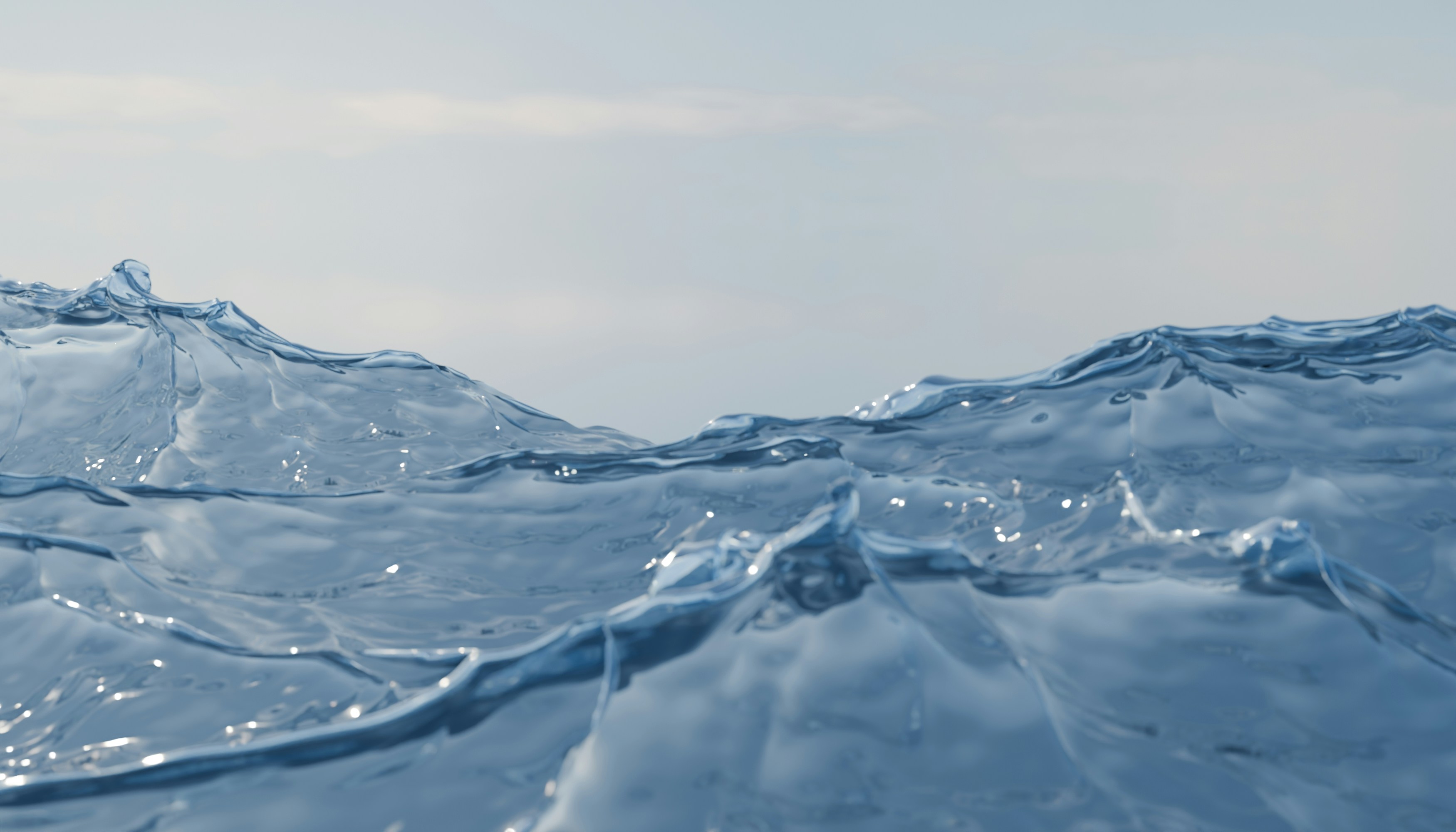 Photo by thehalaldesign