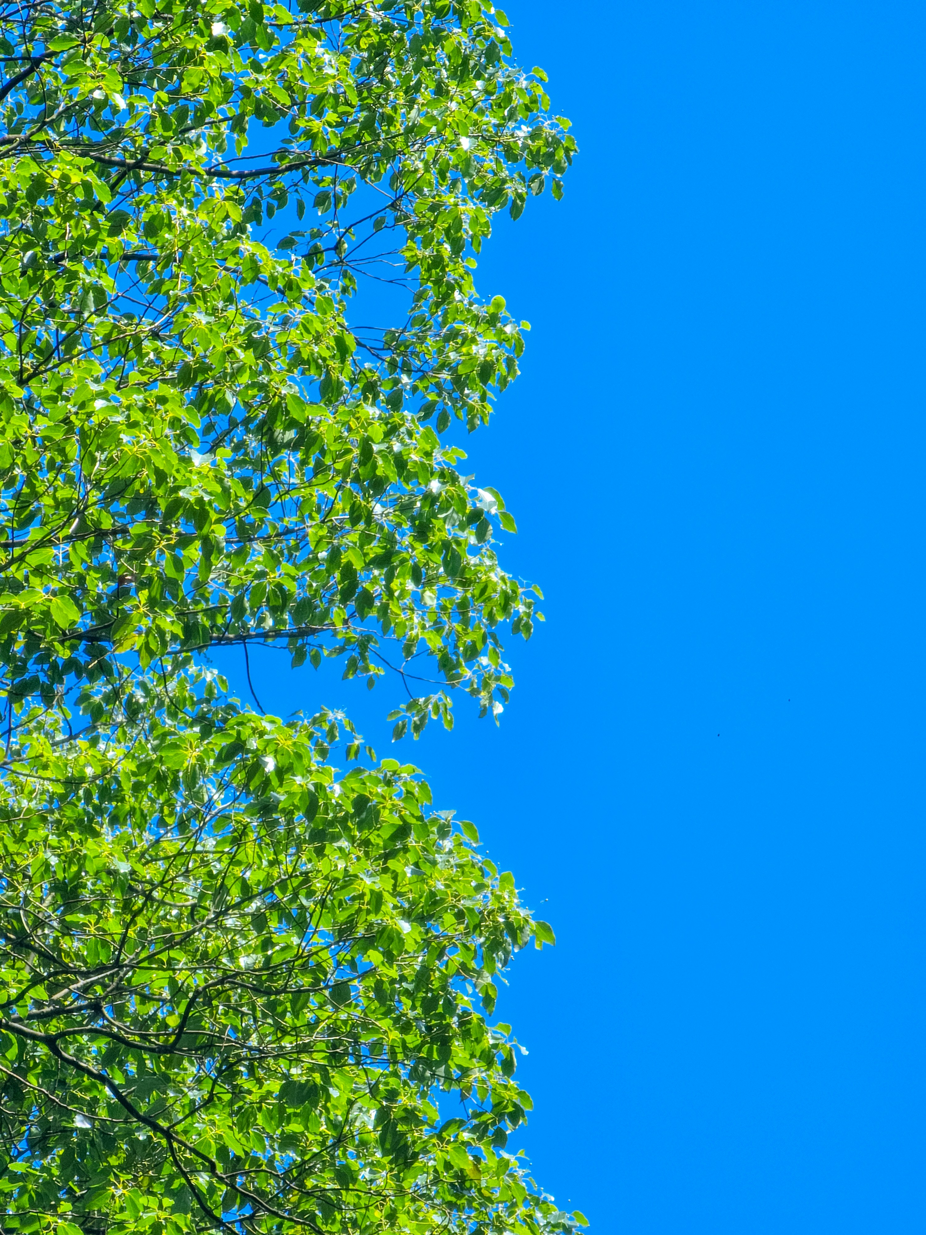 Photo by hypocriteeeee