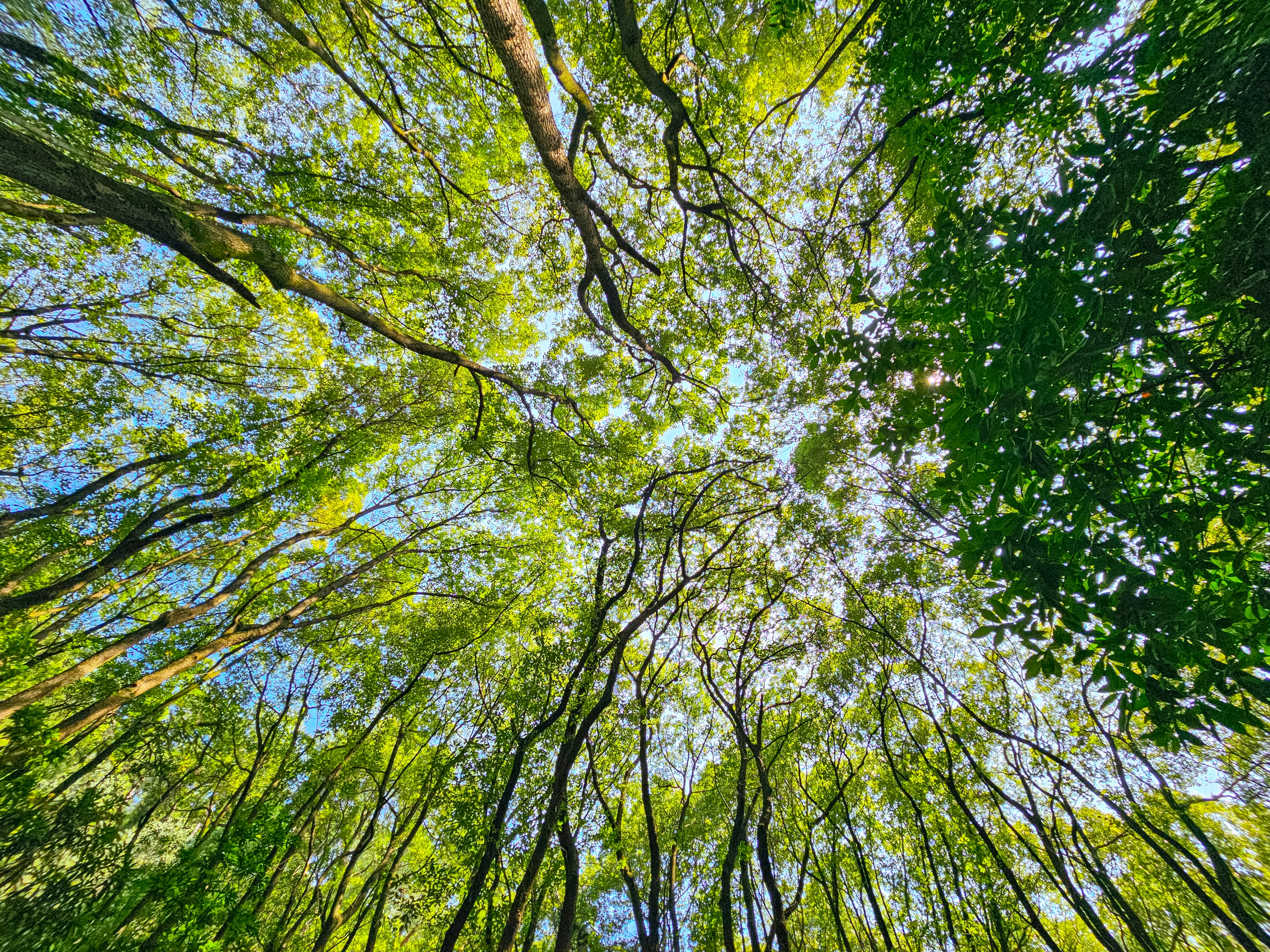 Photo by hypocriteeeee