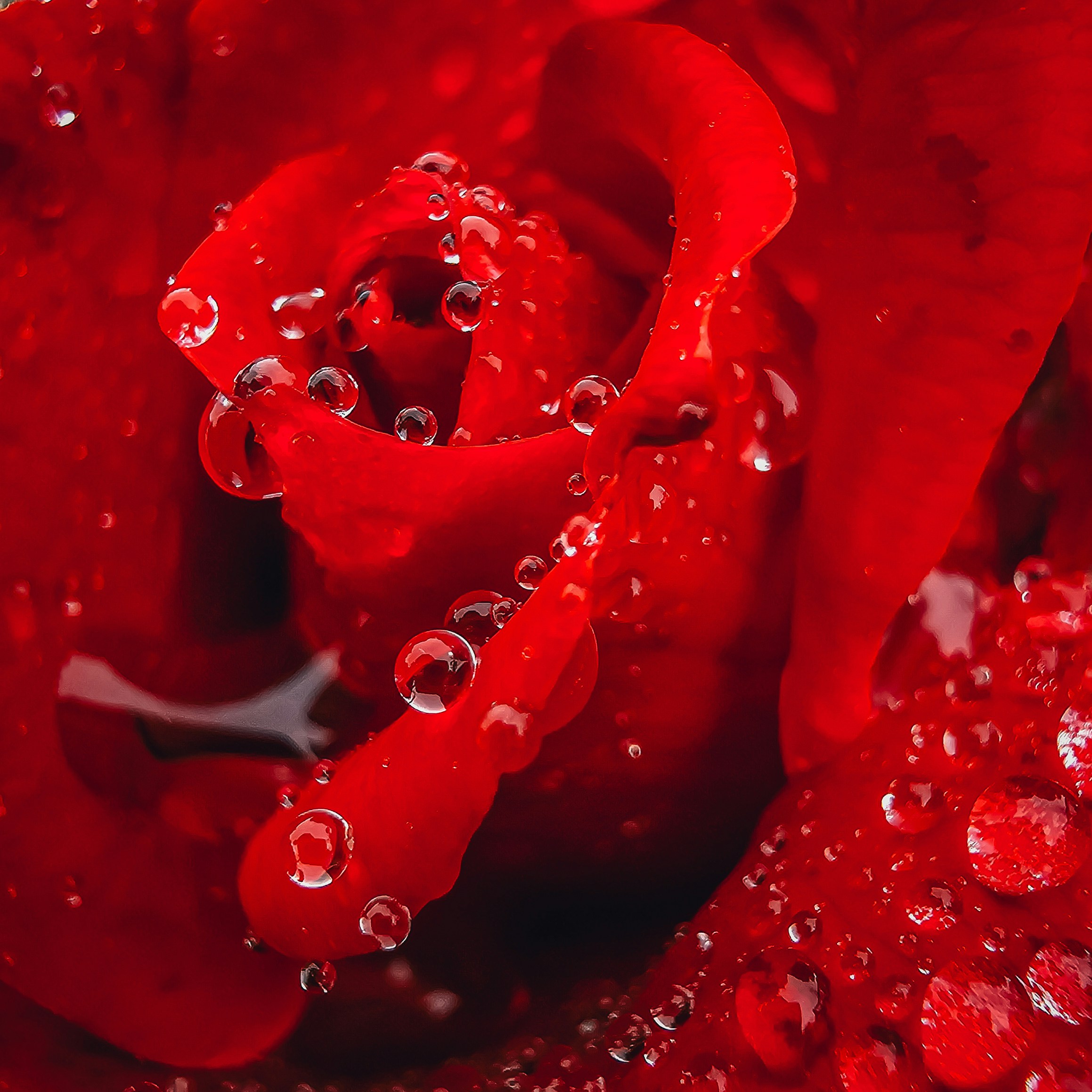 Photo by hypocriteeeee