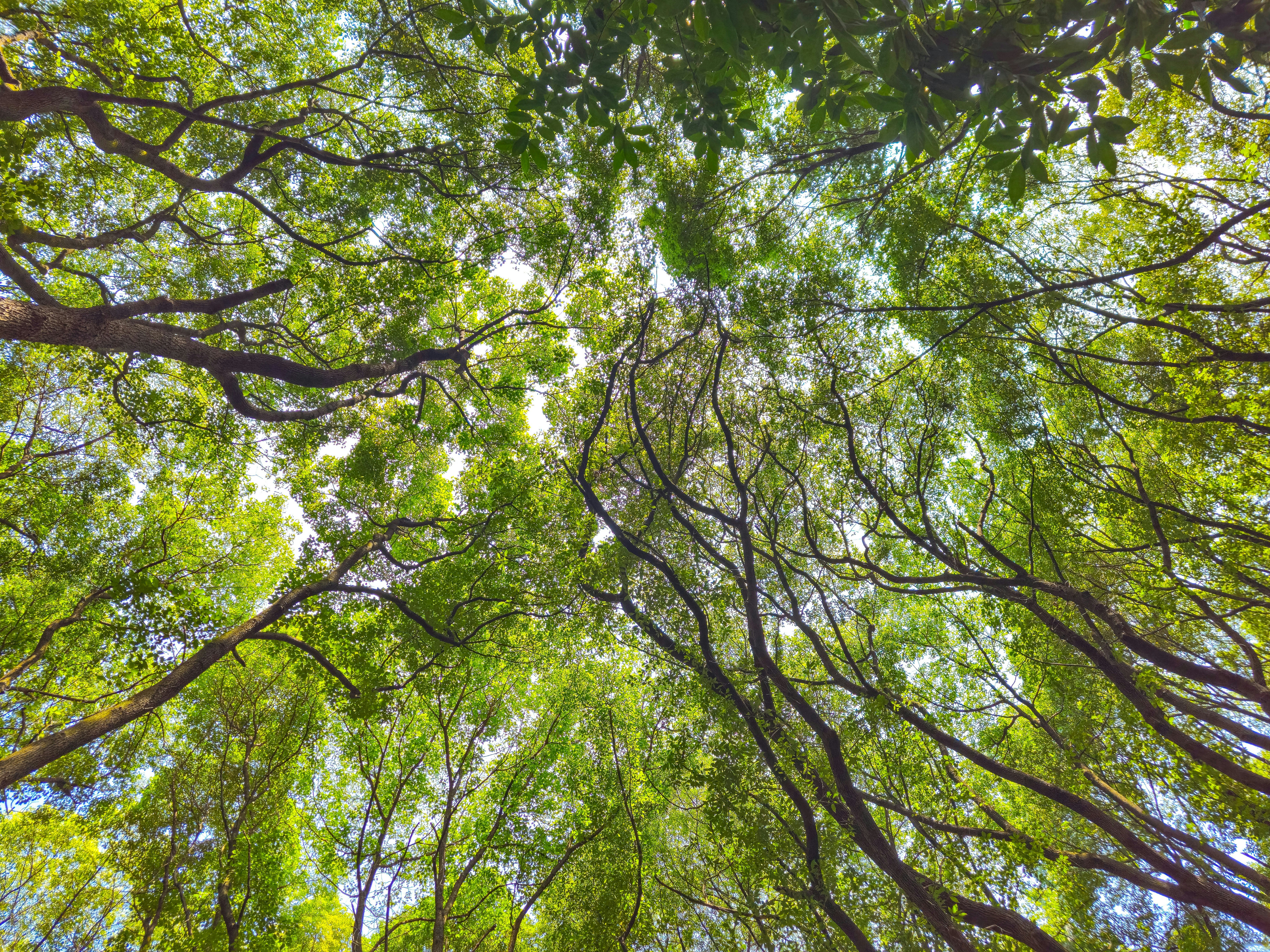 Photo by hypocriteeeee