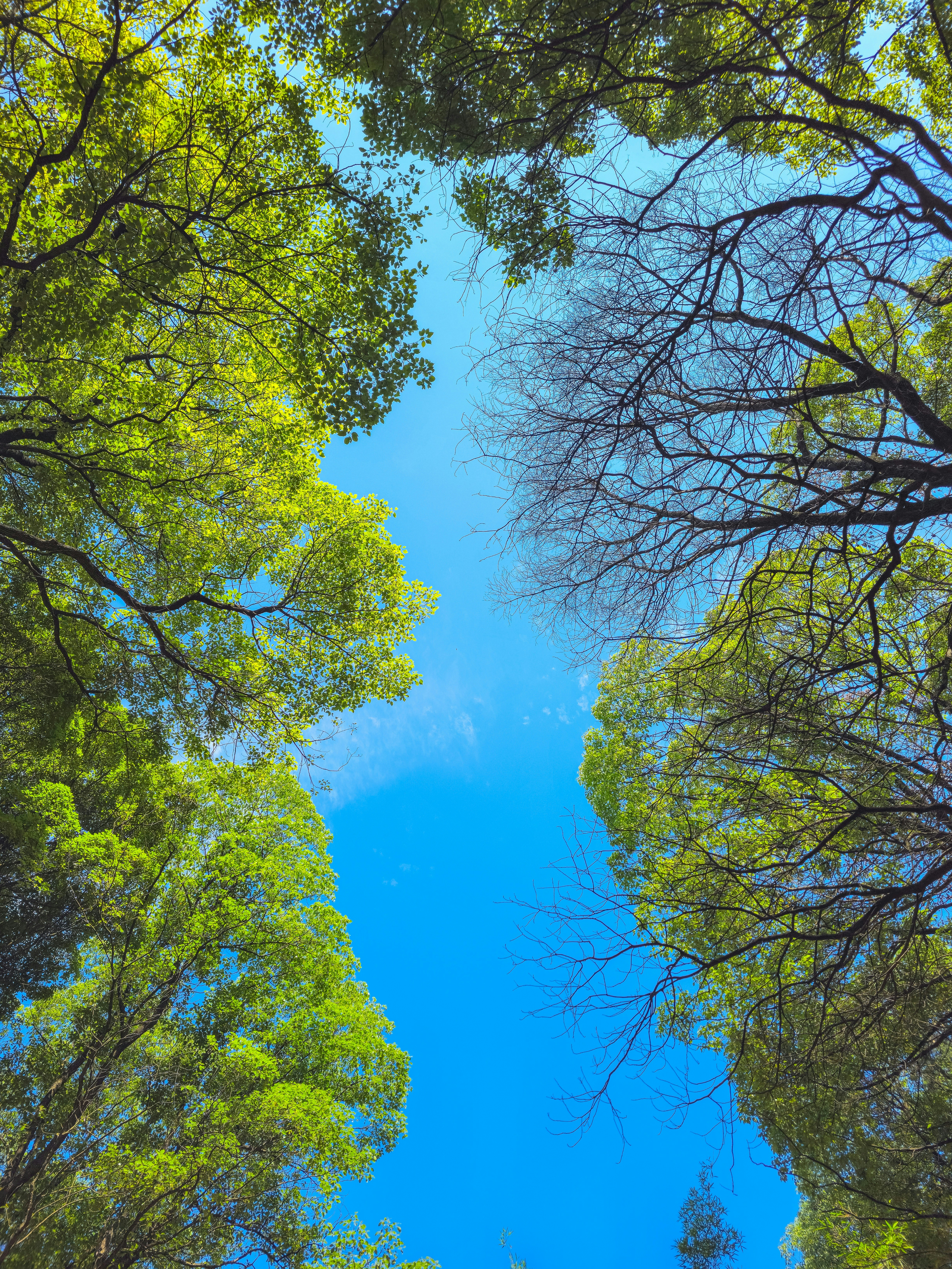 Photo by hypocriteeeee