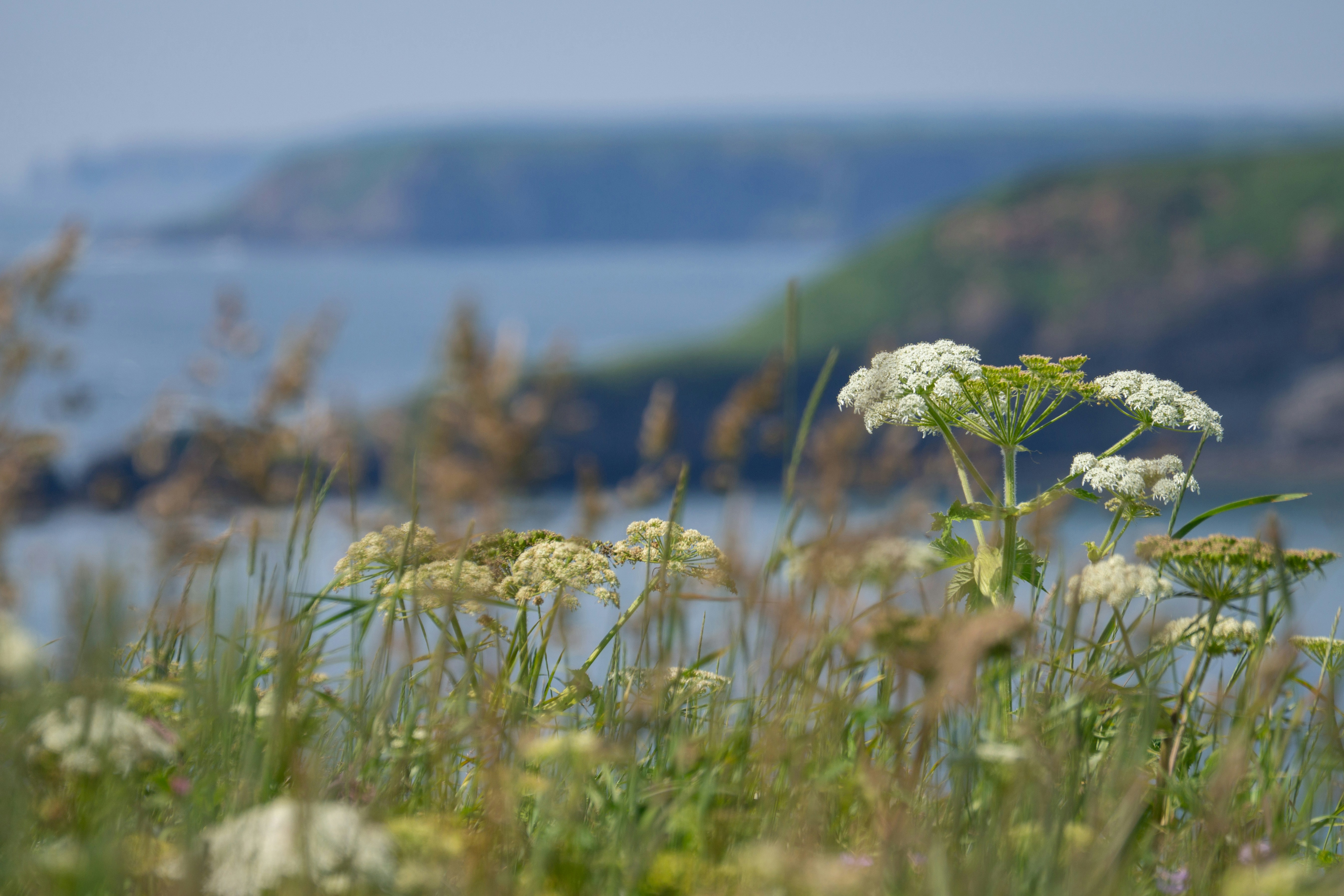 Photo by da_shika_photo