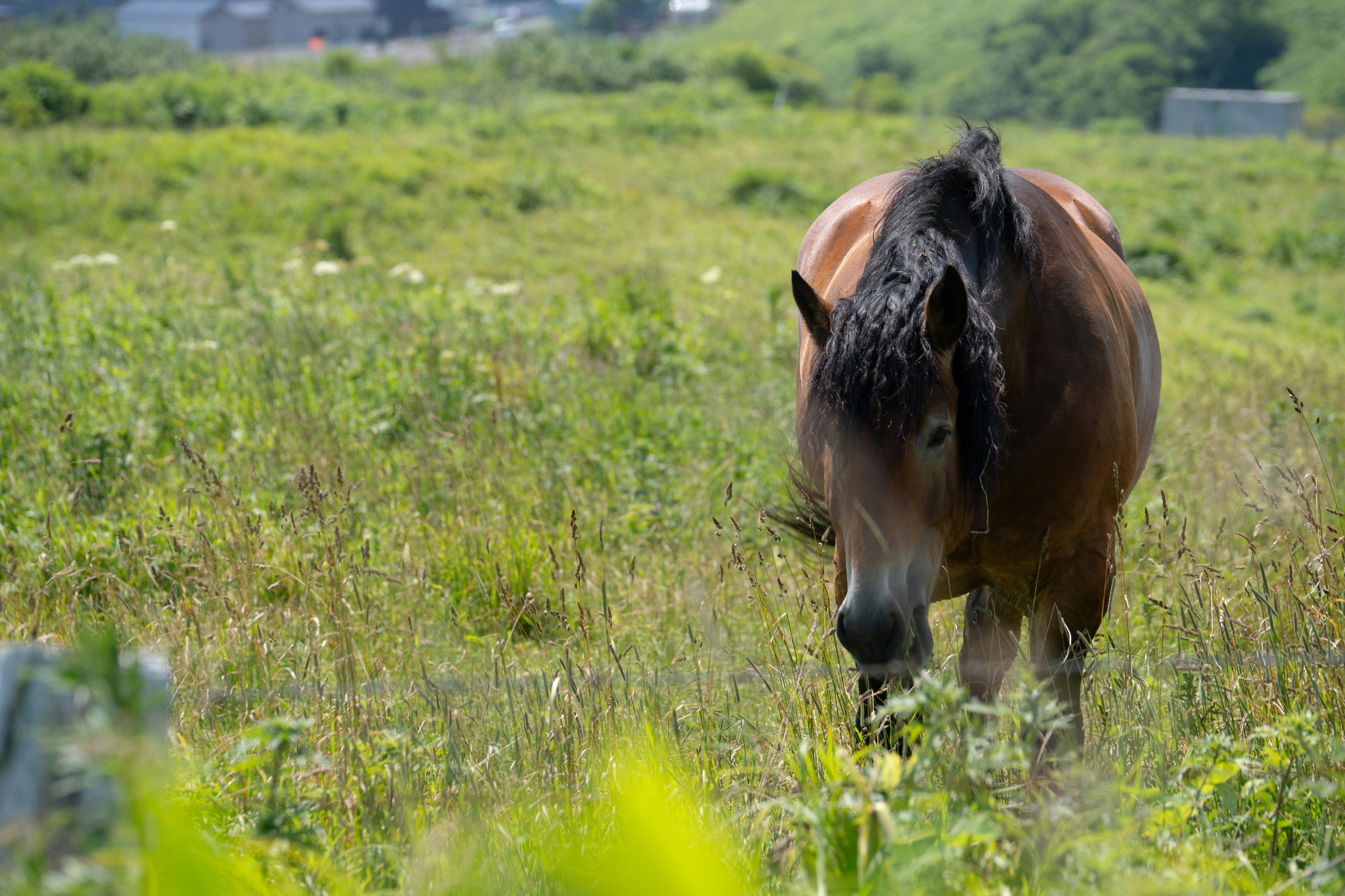 Photo by da_shika_photo