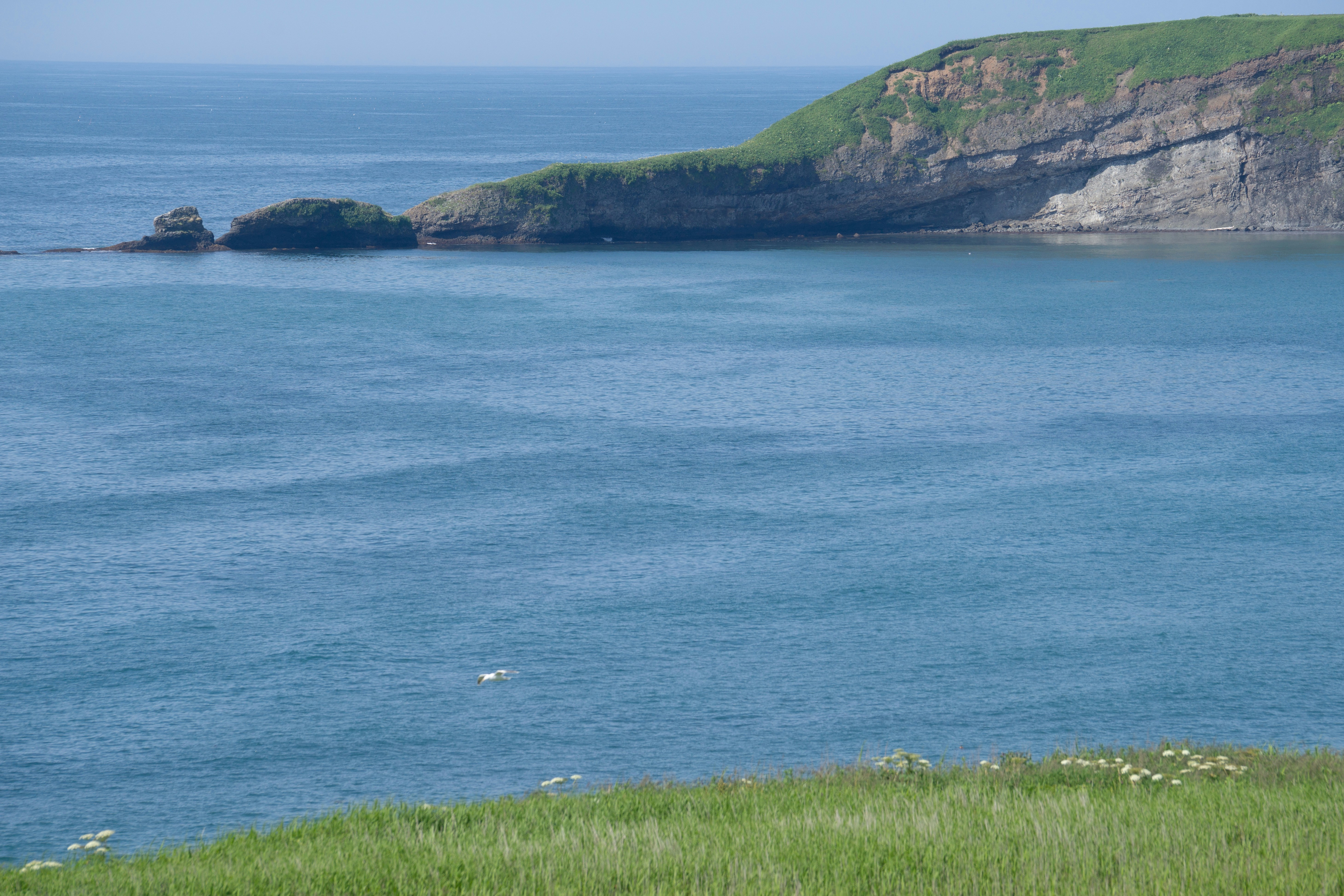 Photo by da_shika_photo